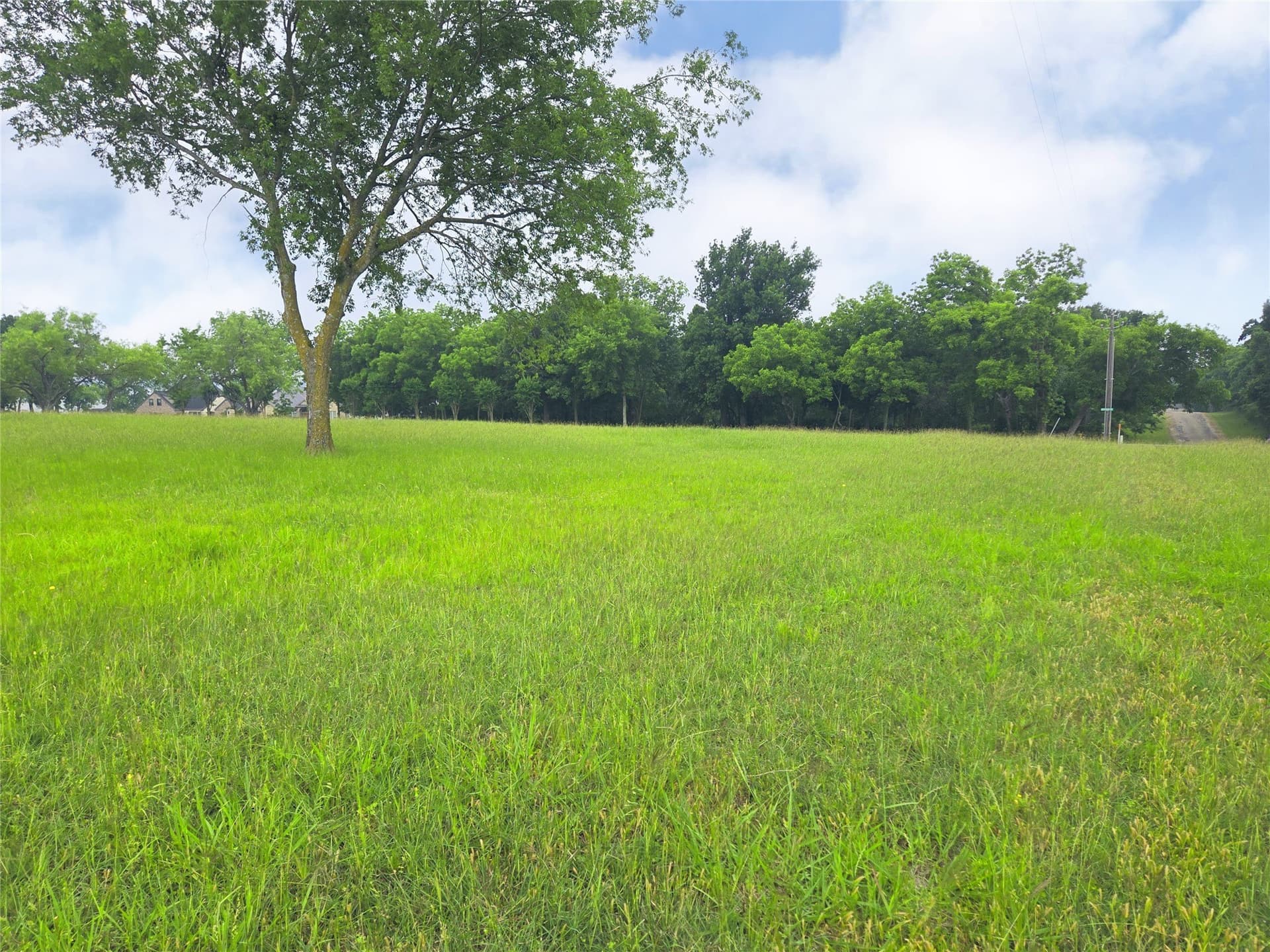 1.25 acres in Navarro County - photo 7