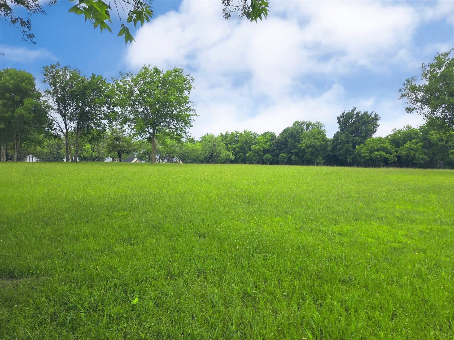 1.25 acres in Navarro County - photo 6