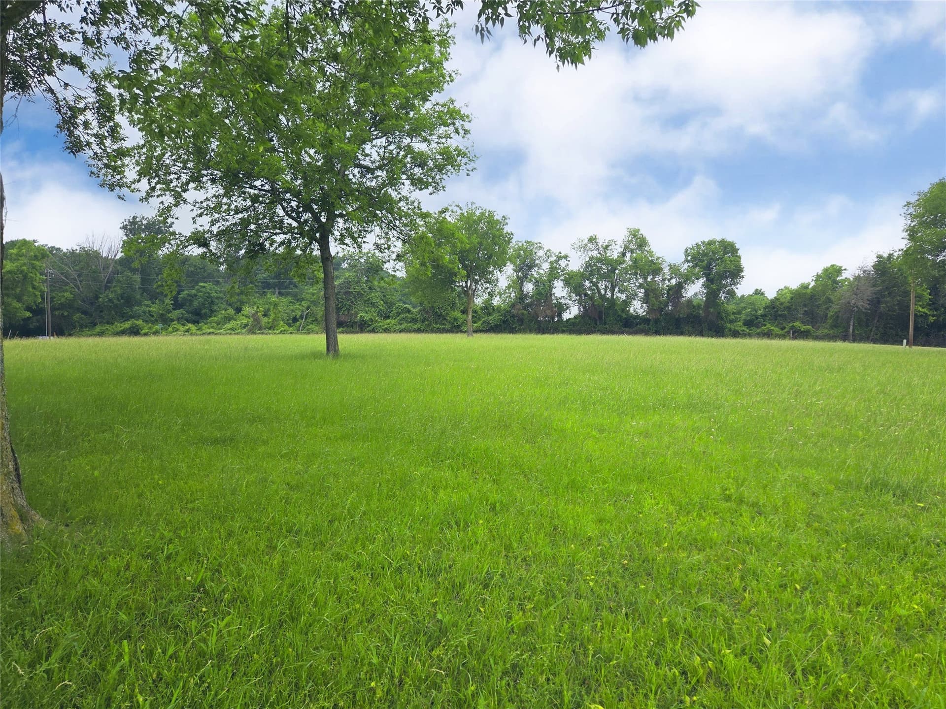 1.25 acres in Navarro County - photo 30