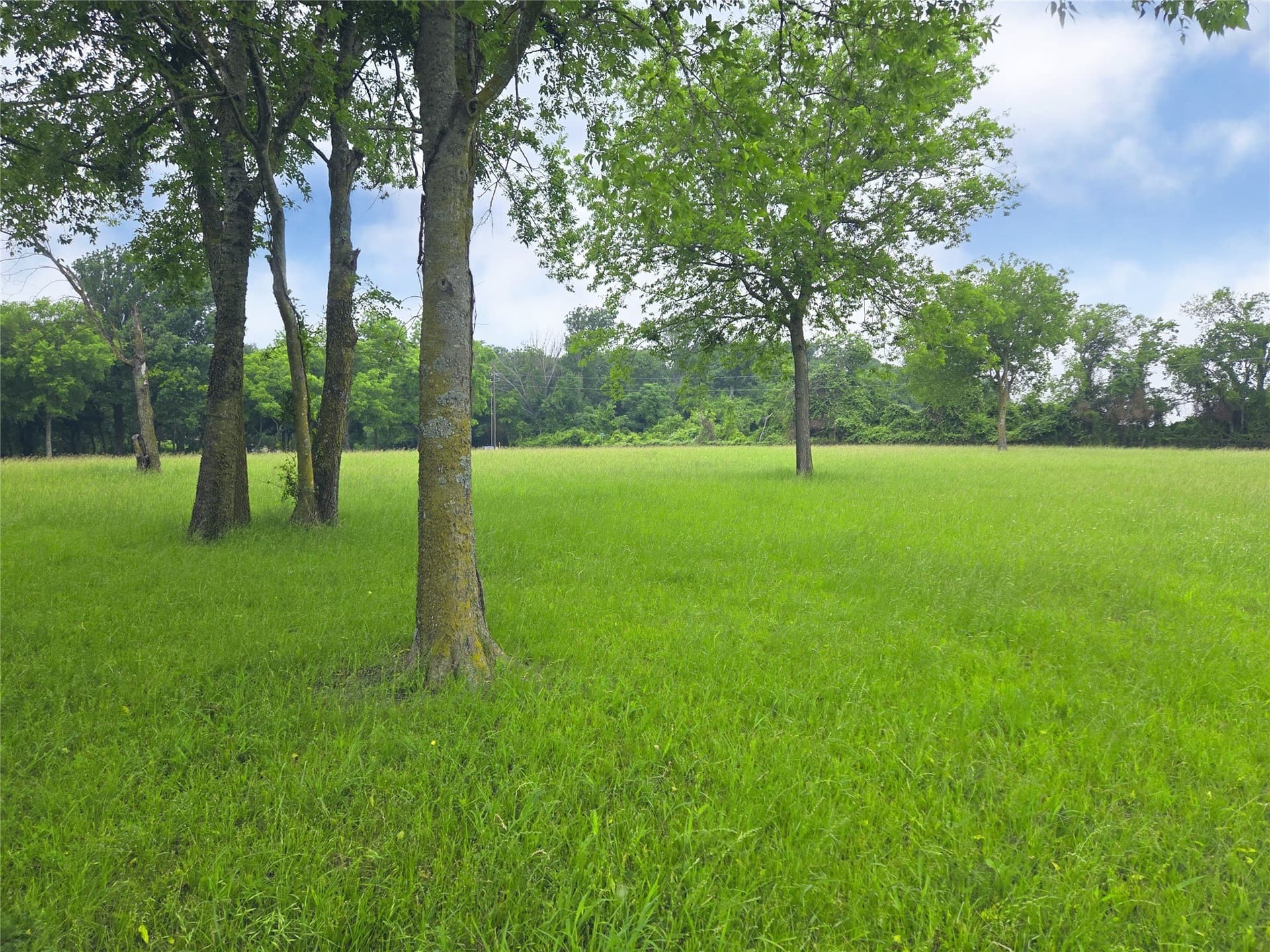 1.25 acres in Navarro County - photo 17