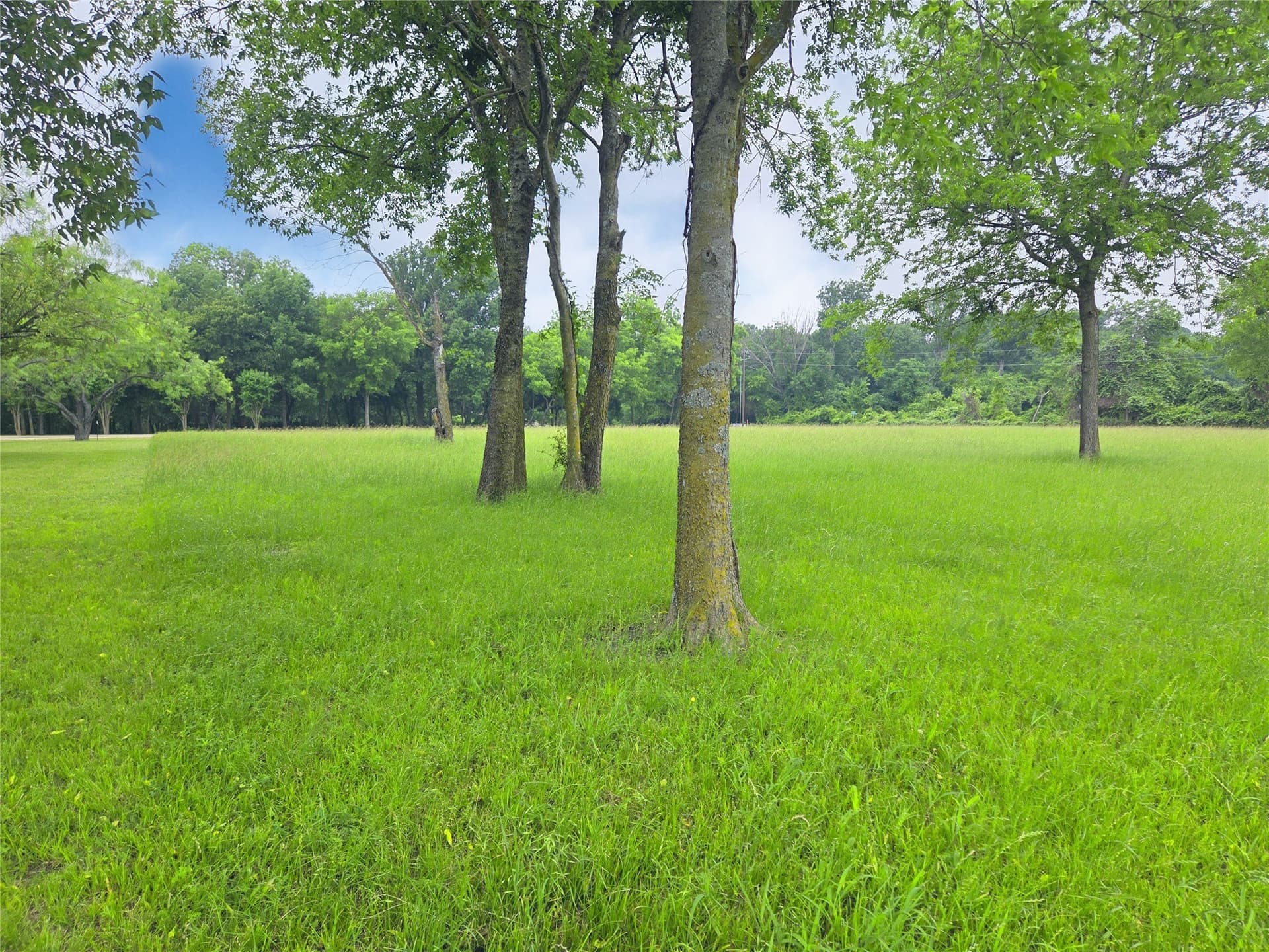 1.25 acres in Navarro County - photo 28