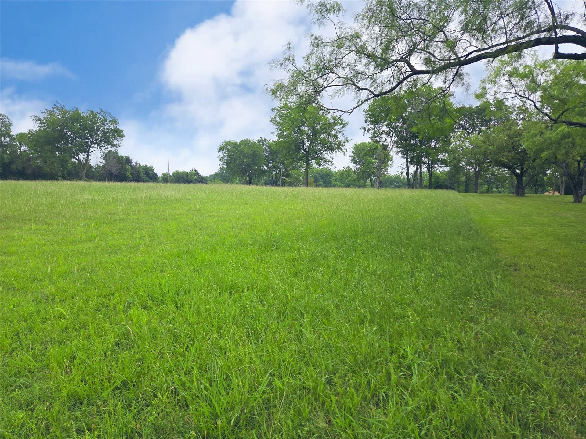 1.25 acres in Navarro County - photo 14