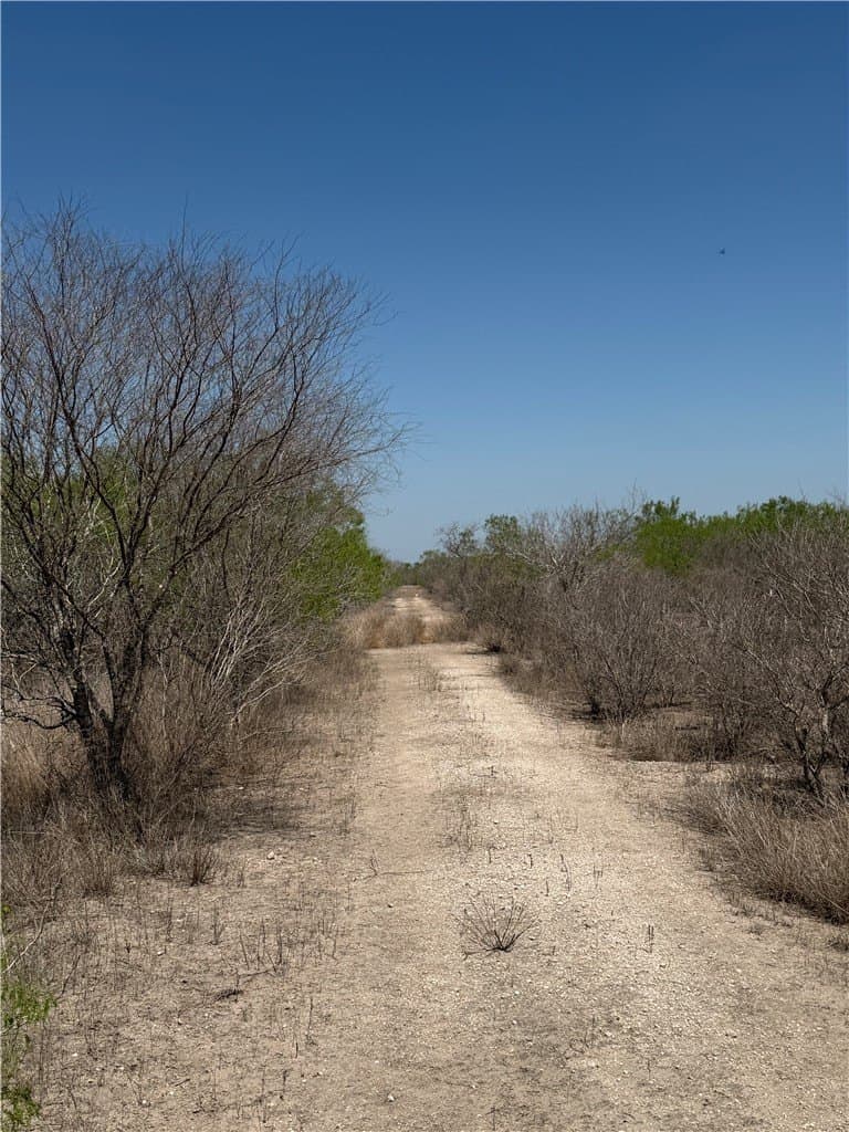 50 acres in Duval County gallery image 4