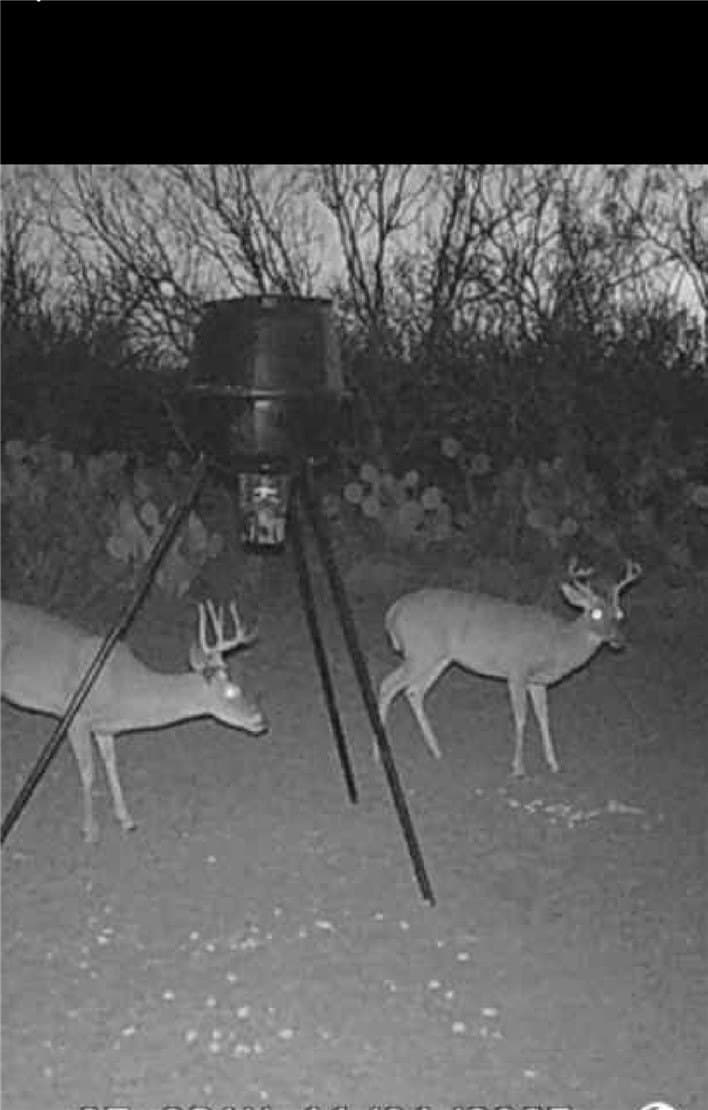 50 acres in Duval County gallery image 3