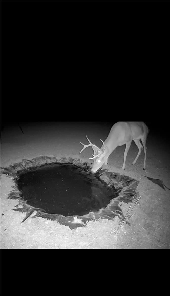 50 acres in Duval County gallery image 2