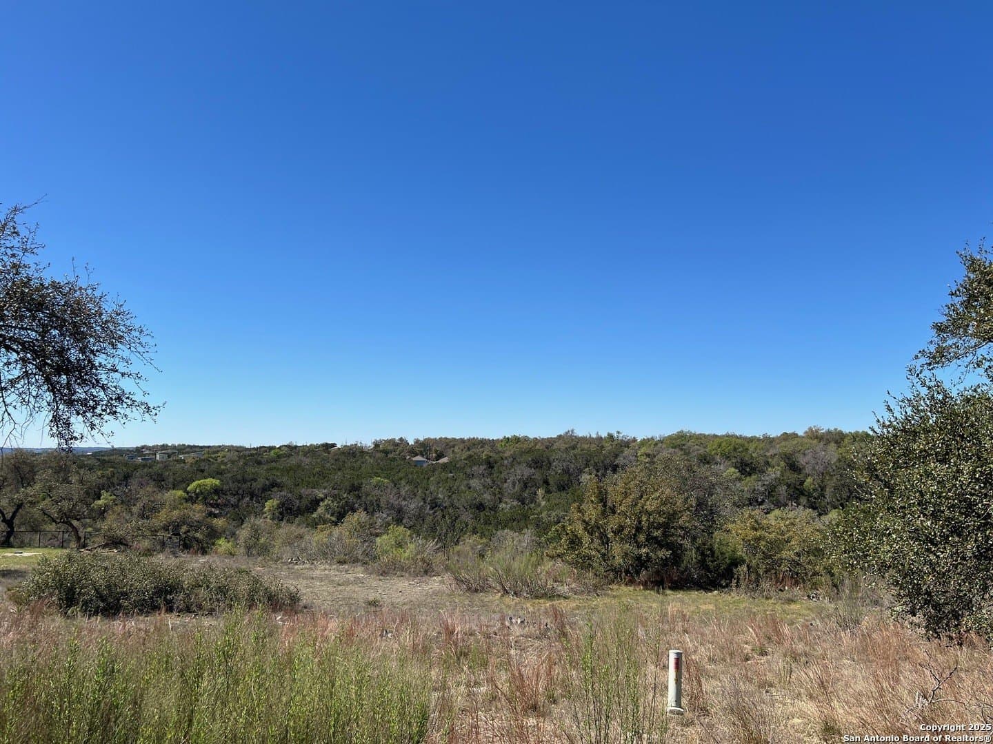 1.56 acres in Comal County gallery image 4