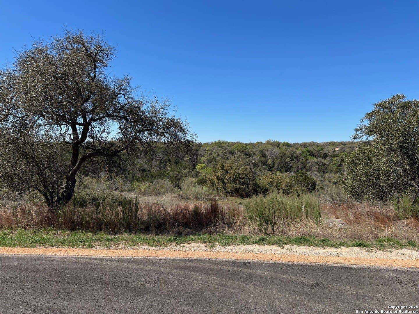 1.56 acres in Comal County gallery image 2