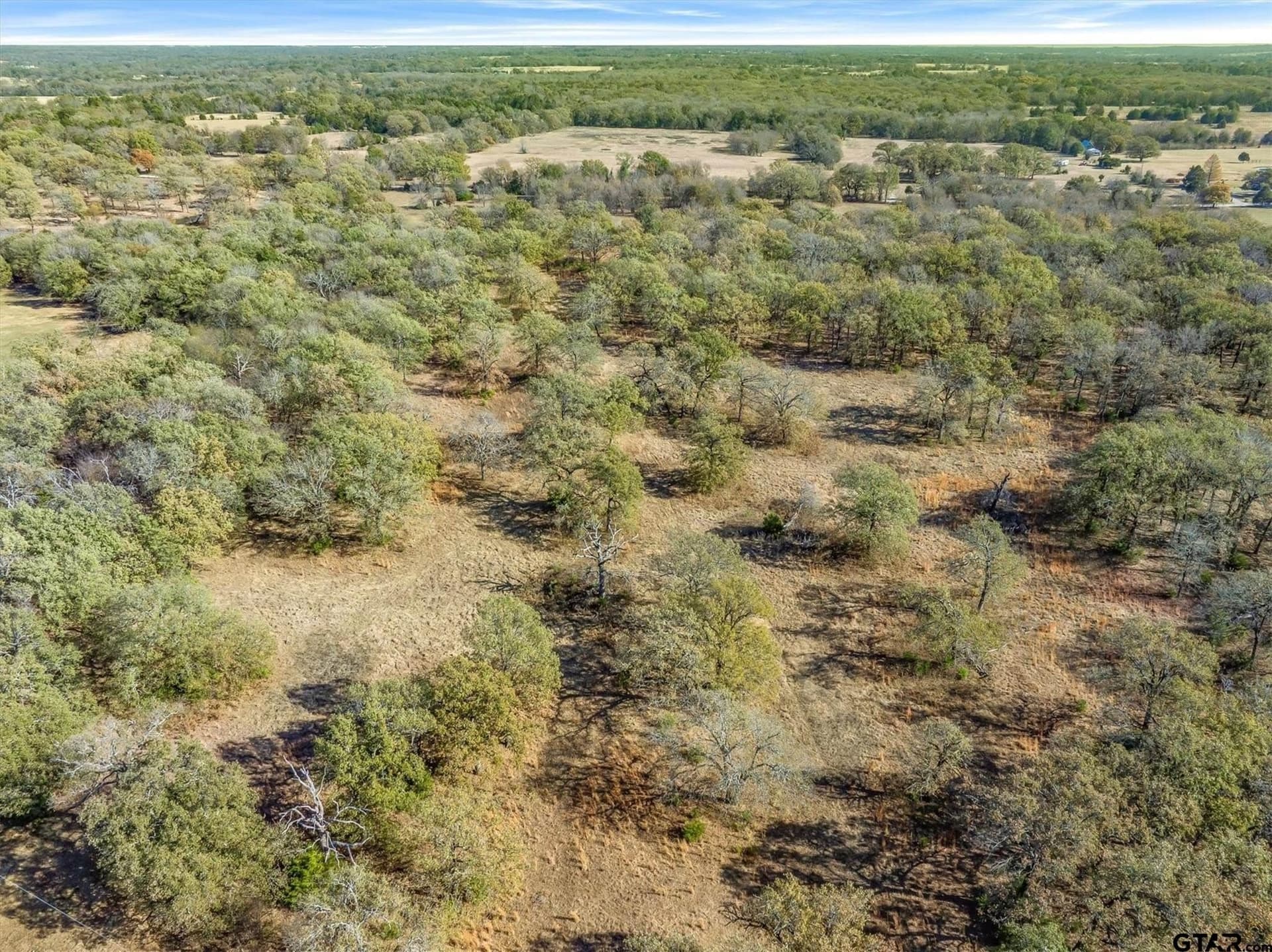 61.4 acres in Van Zandt County gallery image 4