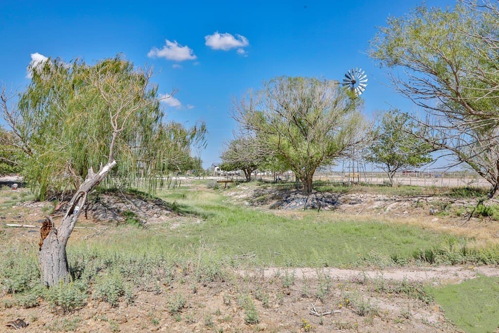 14.72 acres in Ector County - photo 31