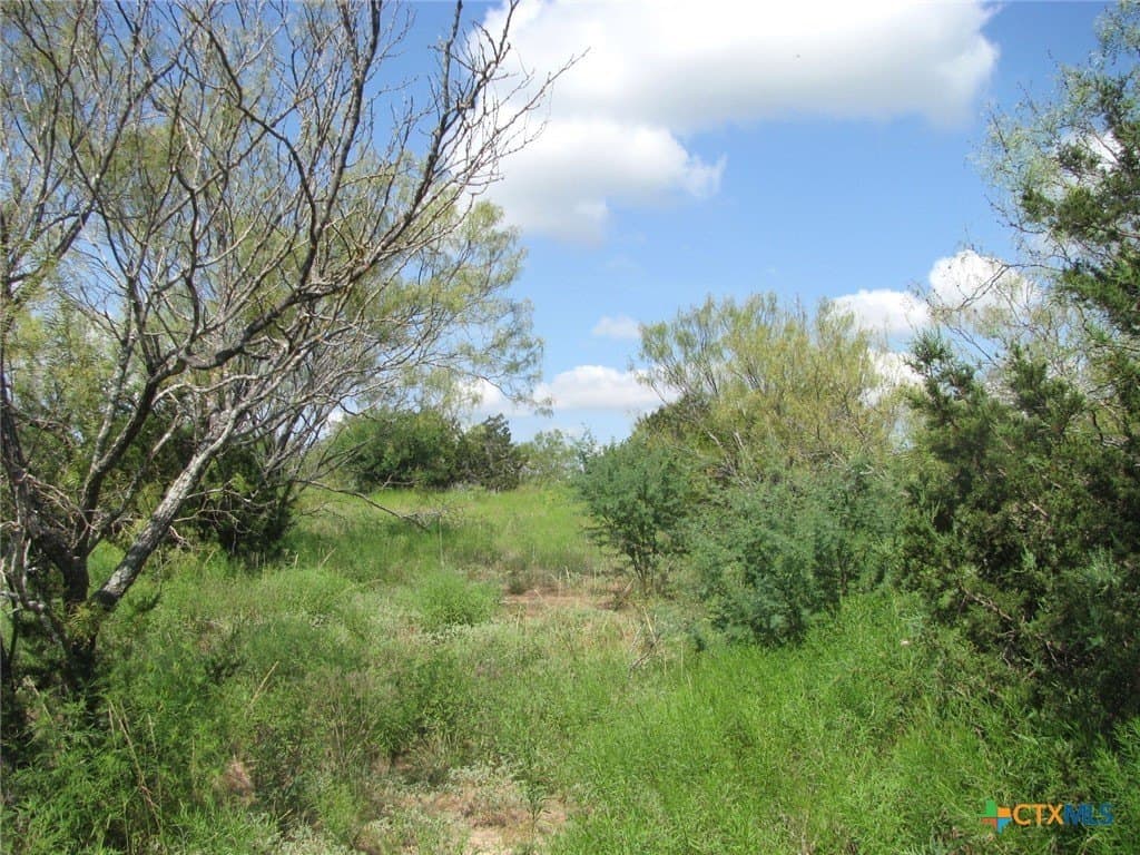 10.7 acres in Hamilton County - photo 11