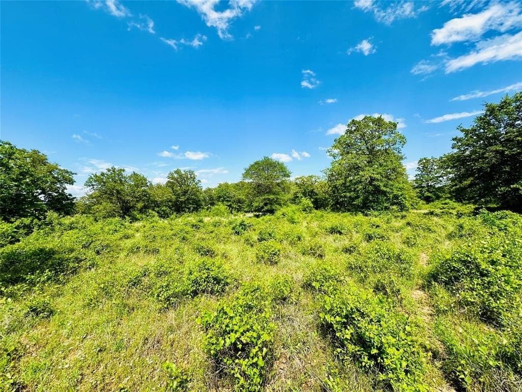 125 acres in Callahan County featured view