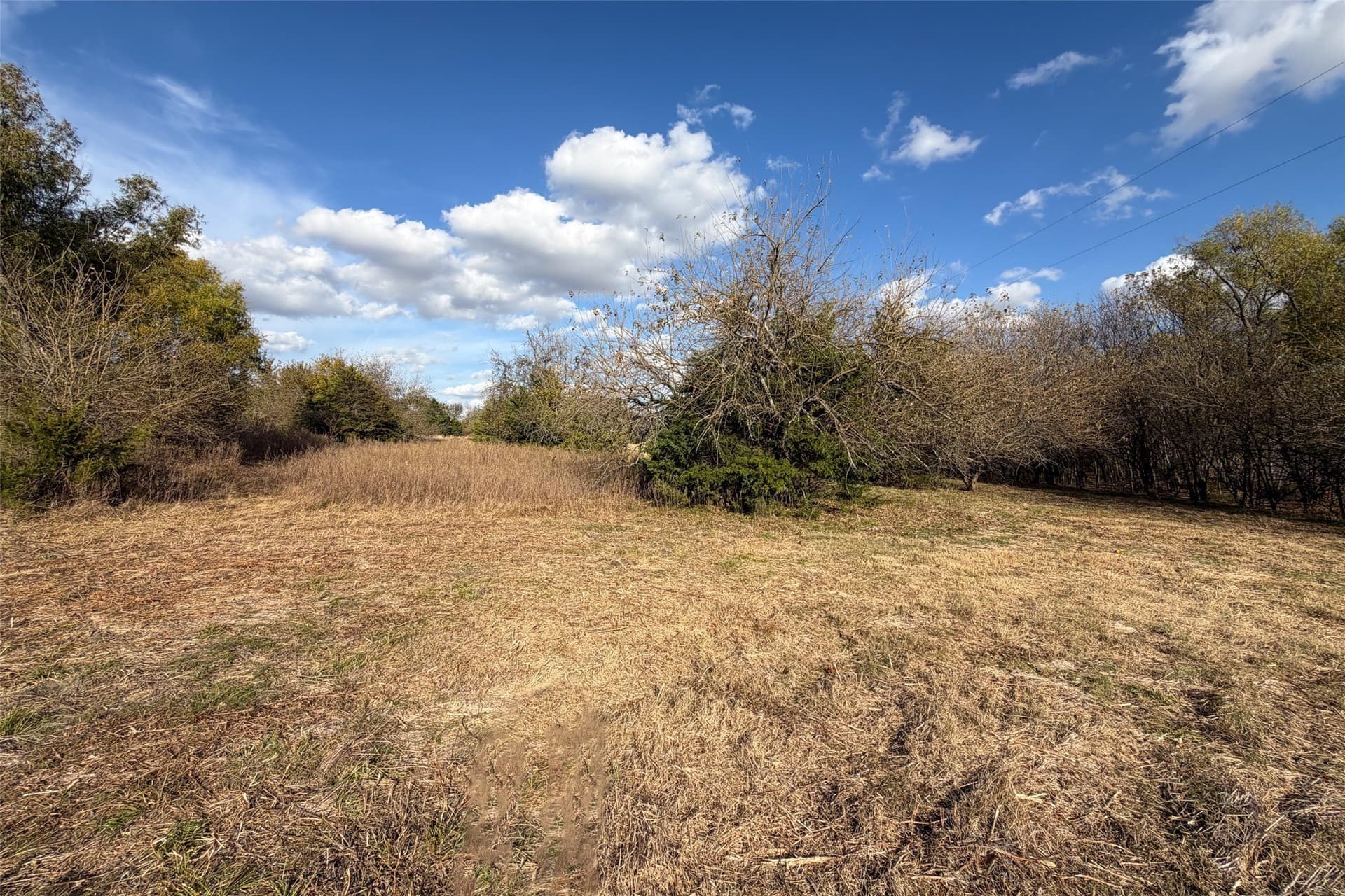 8 acres in Collin County - photo 3