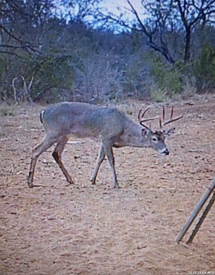 14.01 acres in Frio County - photo 27