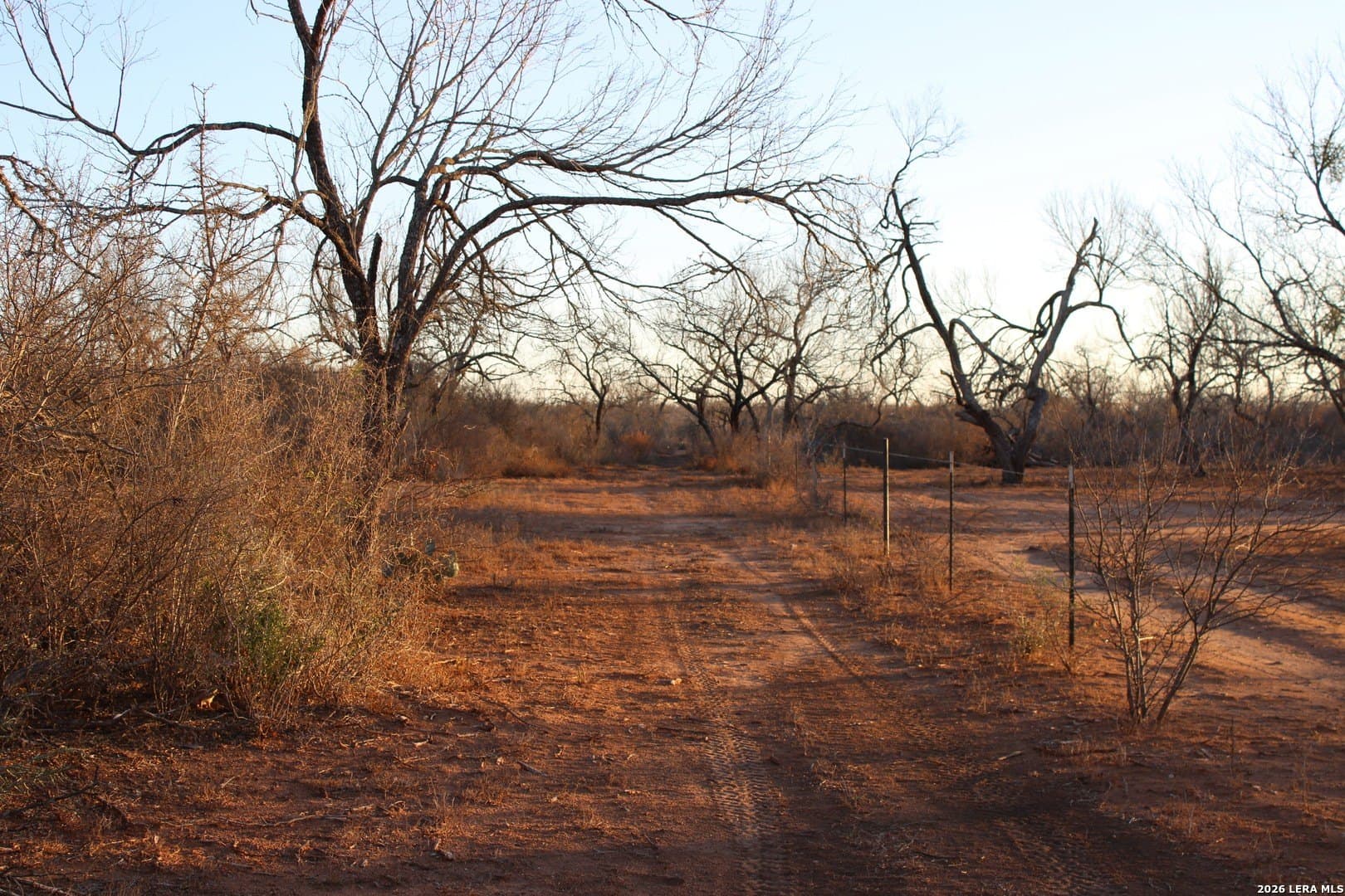 14.01 acres in Frio County - photo 19