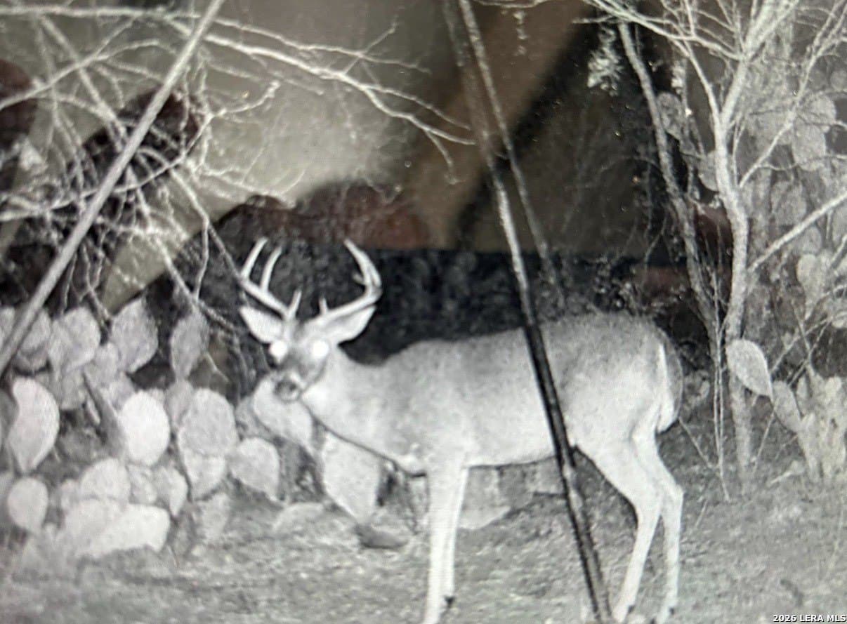 14.01 acres in Frio County - photo 29