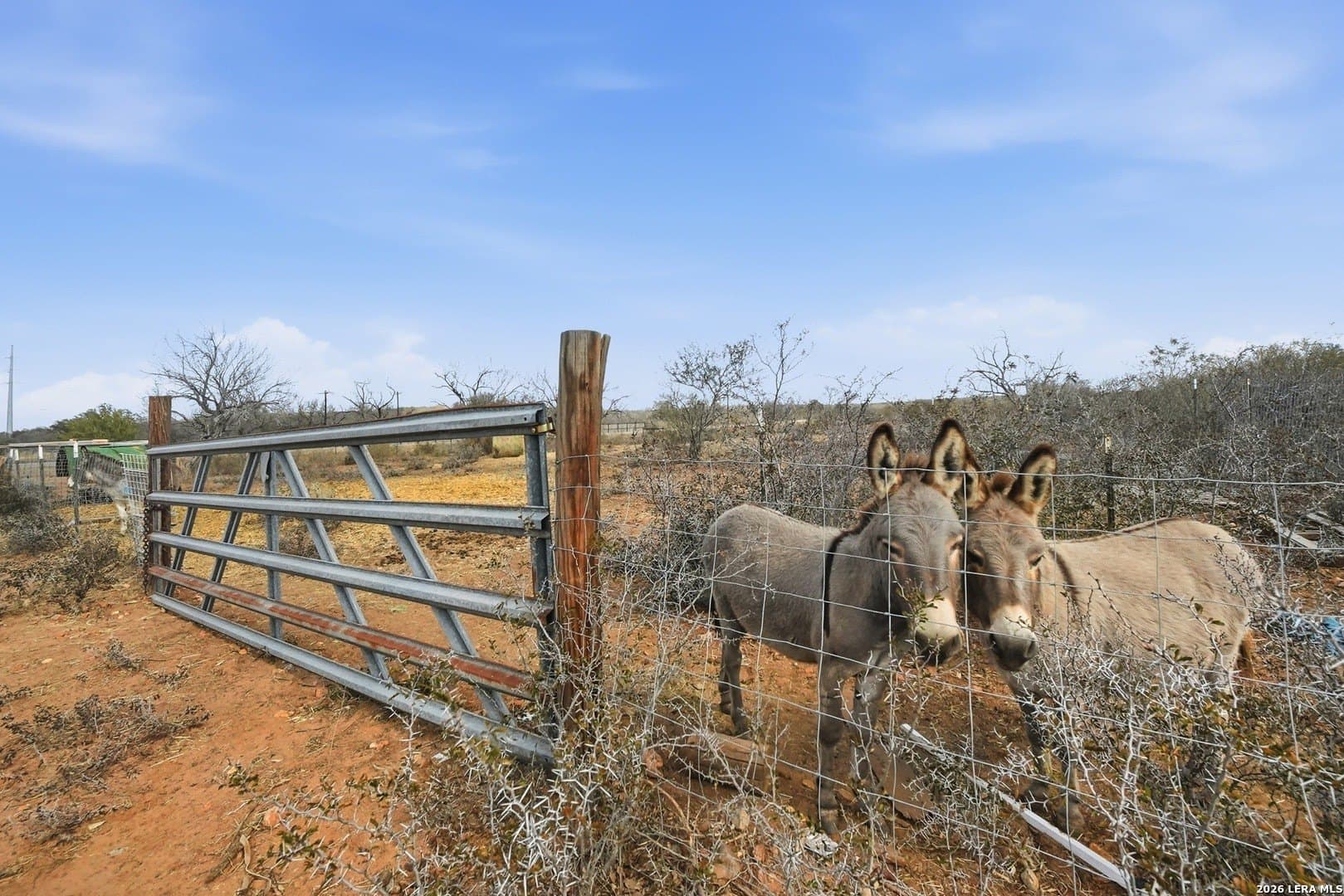 14.01 acres in Frio County - photo 13