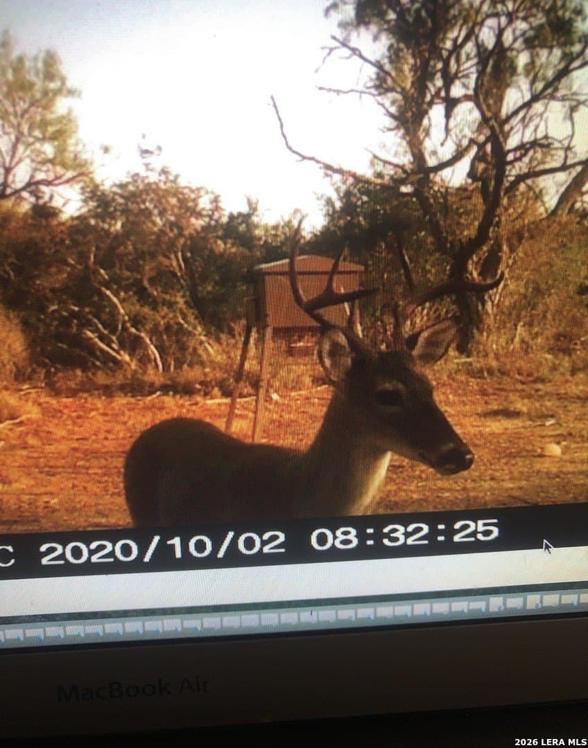 14.01 acres in Frio County - photo 31
