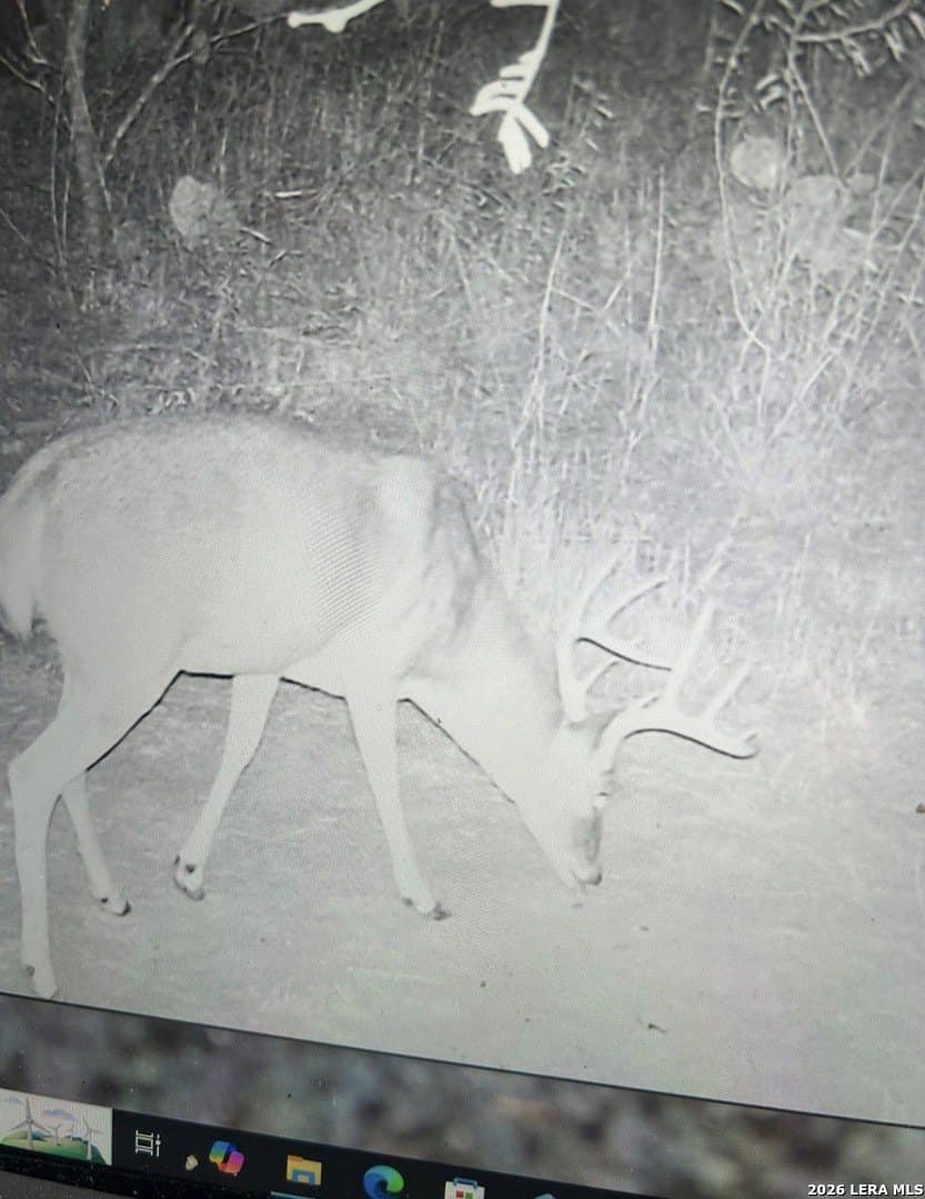 14.01 acres in Frio County - photo 28