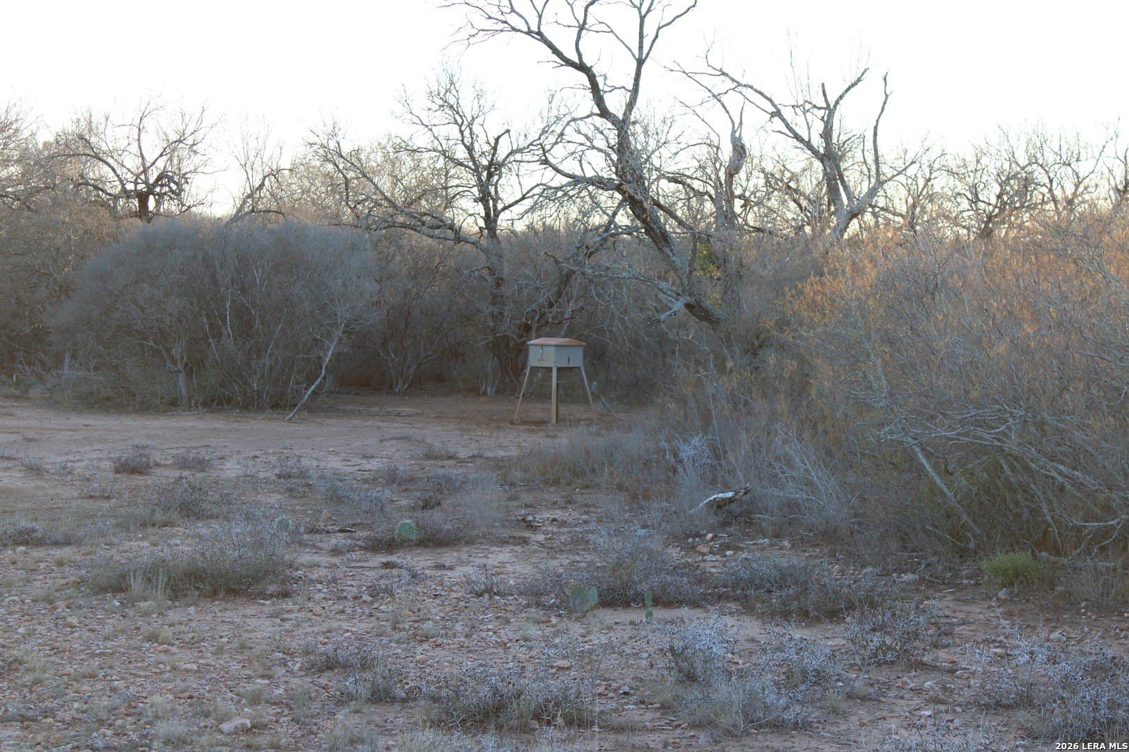 14.01 acres in Frio County - photo 20