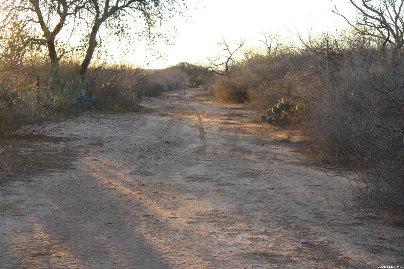 14.01 acres in Frio County - photo 21