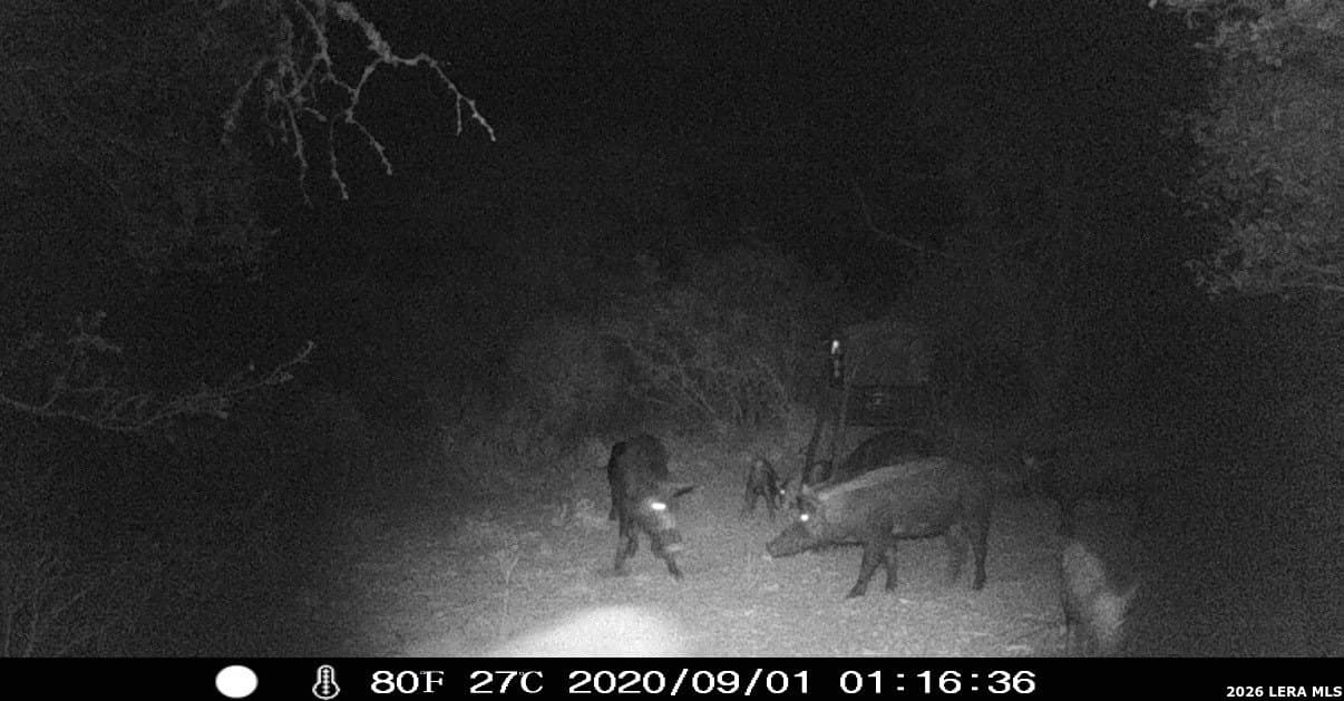 14.01 acres in Frio County - photo 34