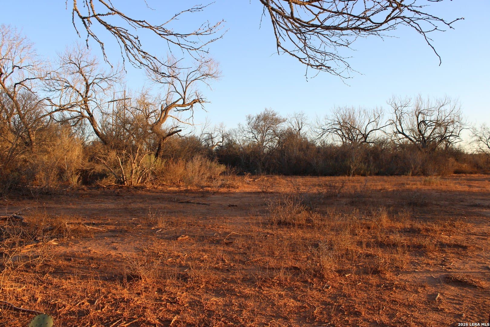 14.01 acres in Frio County - photo 14