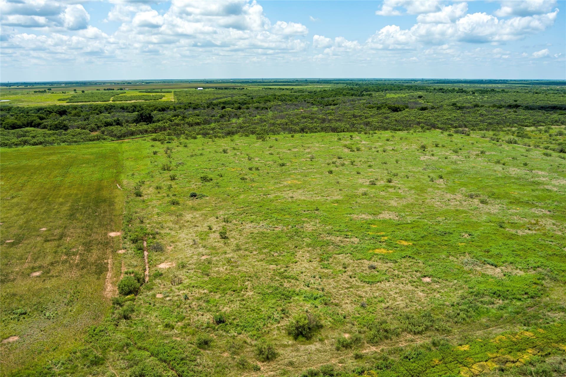 568 acres in Archer County - photo 11