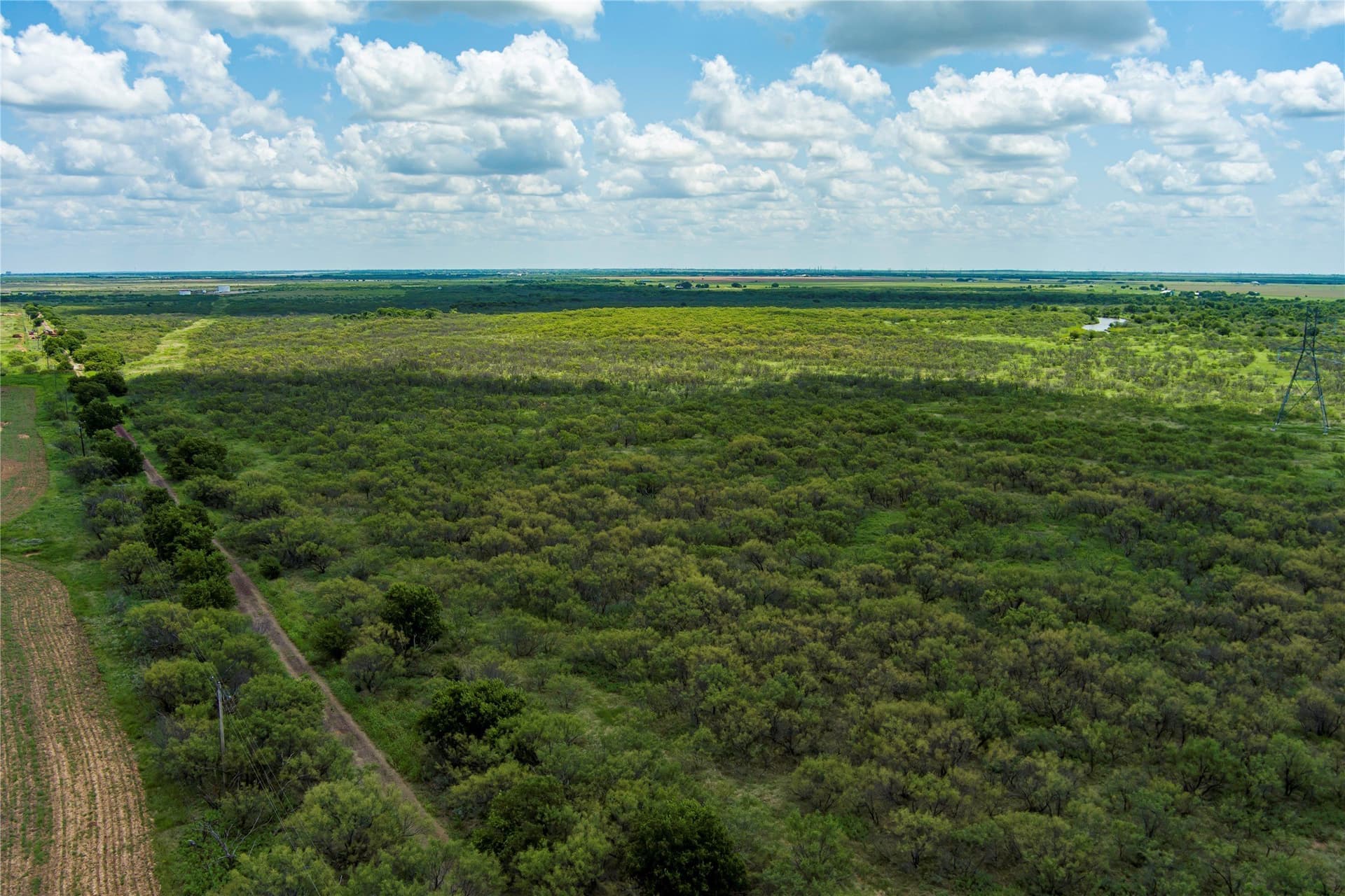 568 acres in Archer County - photo 15