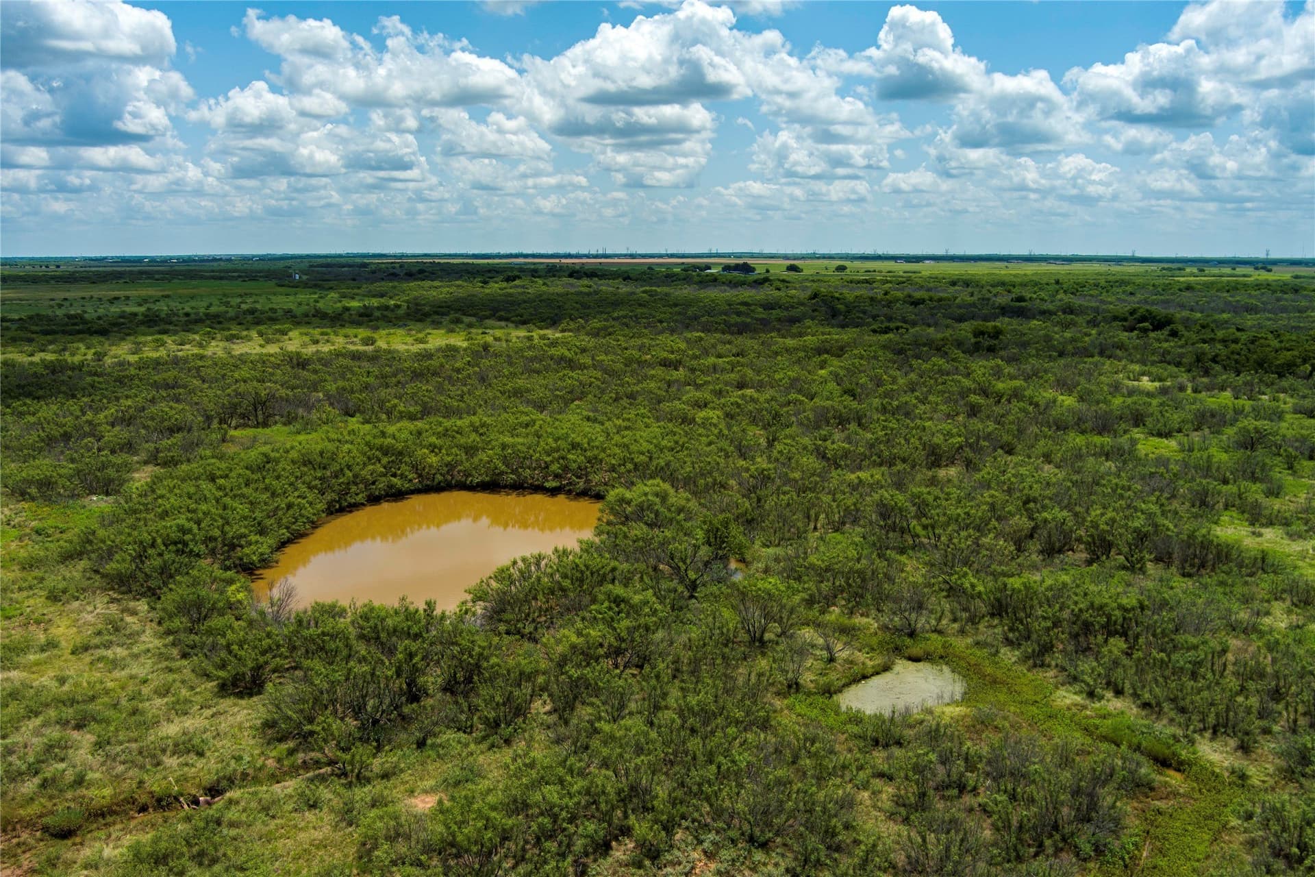 568 acres in Archer County - photo 9