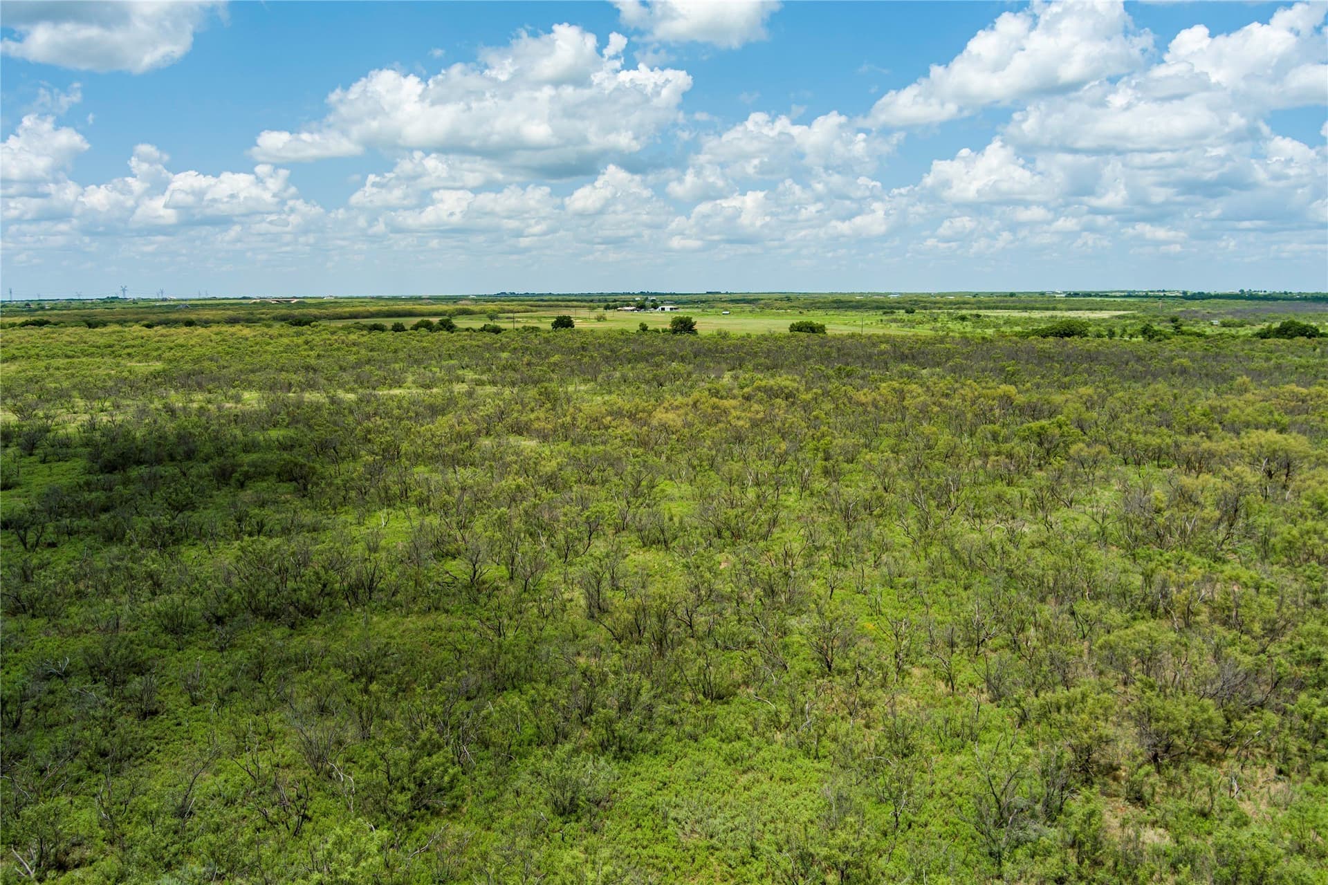 568 acres in Archer County - photo 27