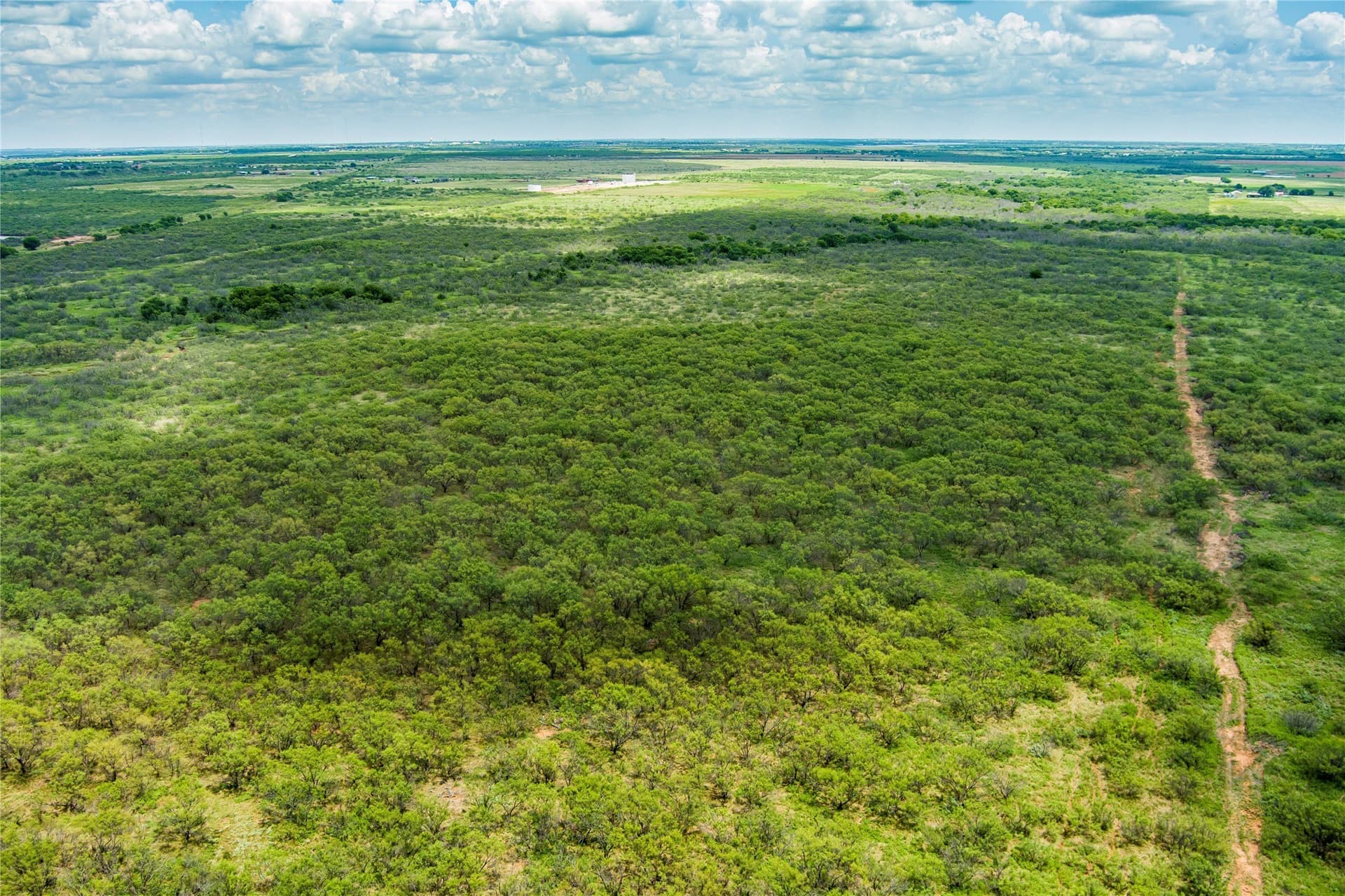 568 acres in Archer County - photo 4