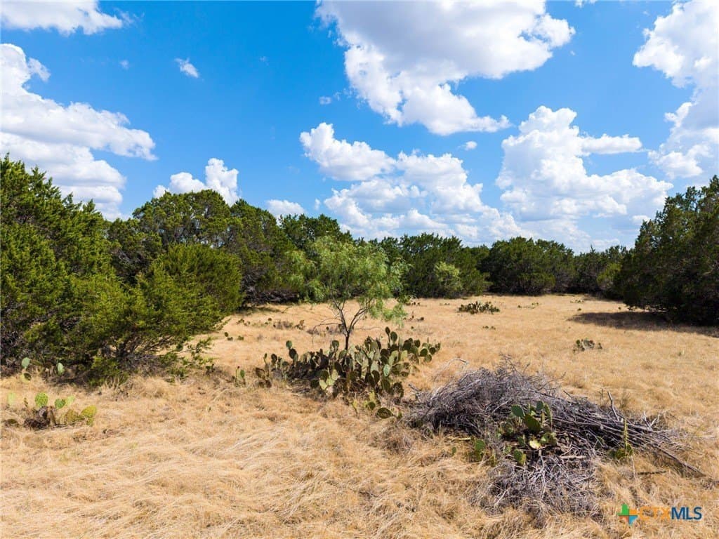 5.15 acres in Burnet County - photo 9