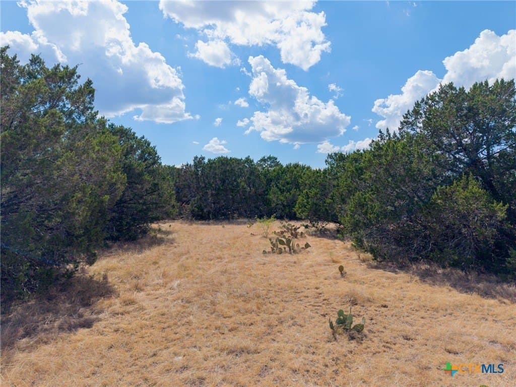 5.15 acres in Burnet County - photo 6