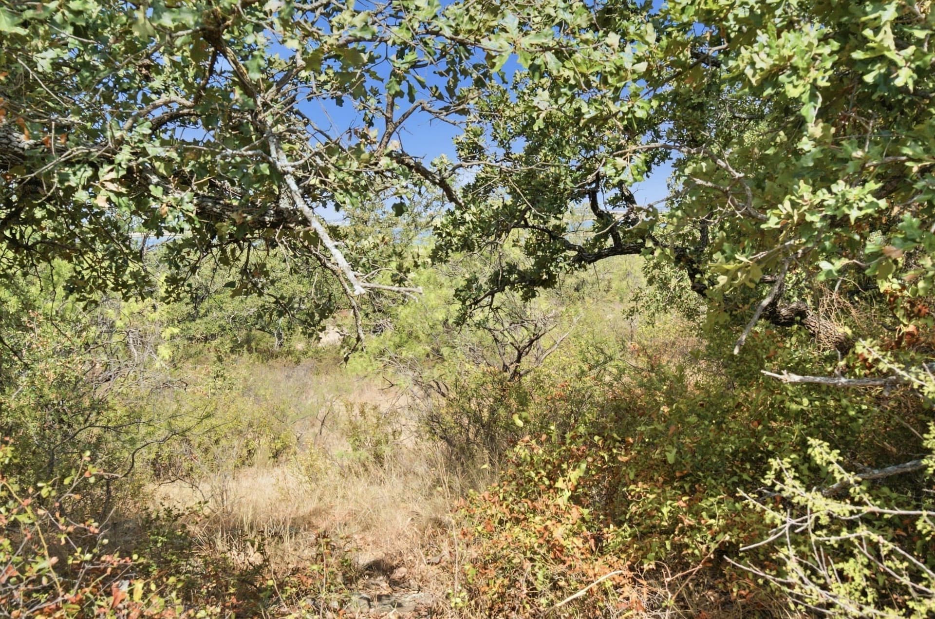 15 acres in Stephens County - photo 8