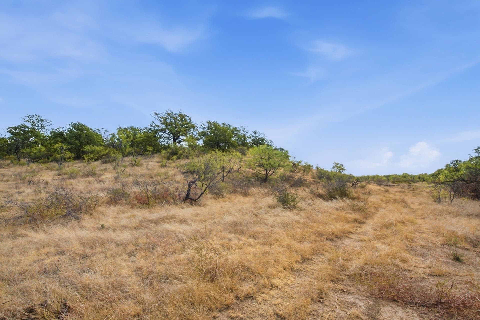 15 acres in Stephens County - photo 3