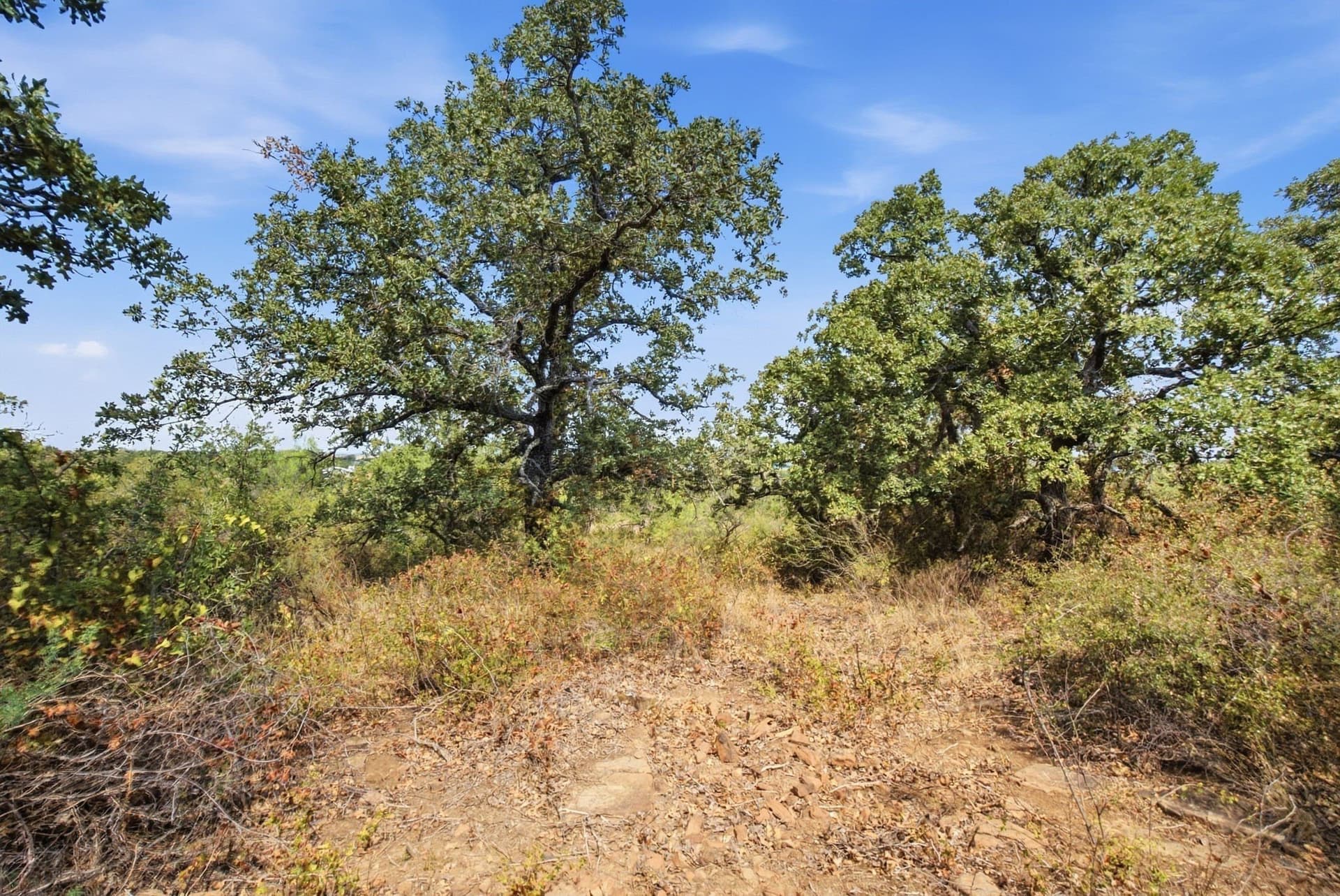 15 acres in Stephens County - photo 7