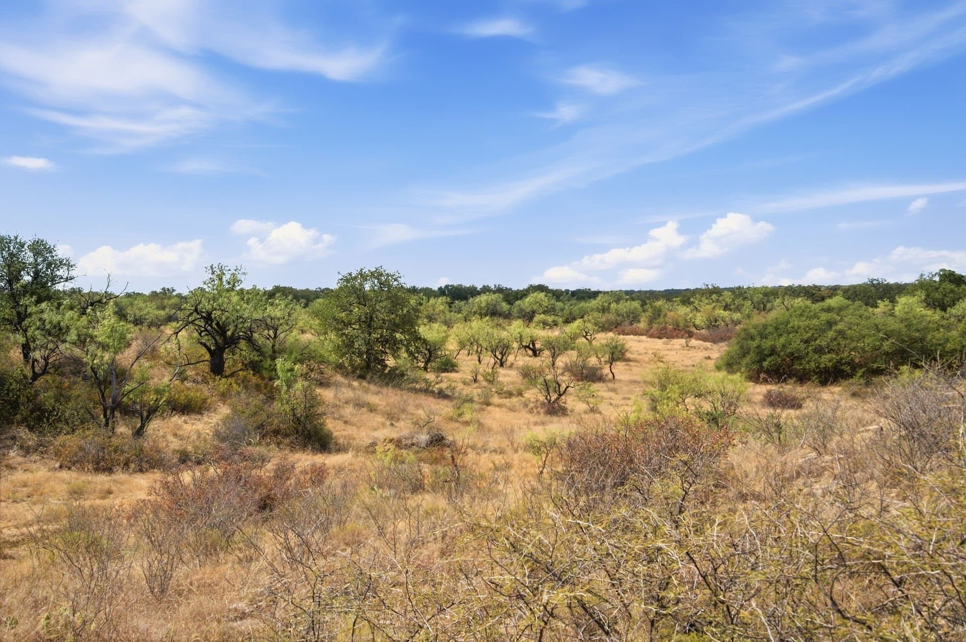 15 acres in Stephens County - photo 9