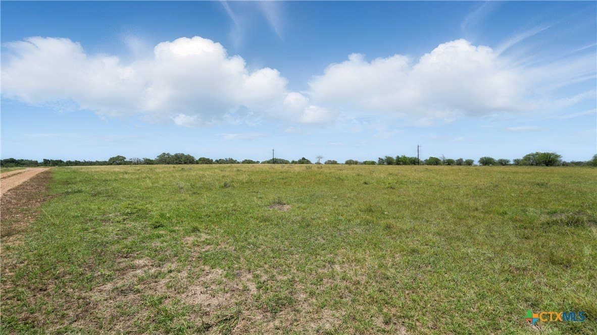 29.54 acres in Lavaca County gallery image 4