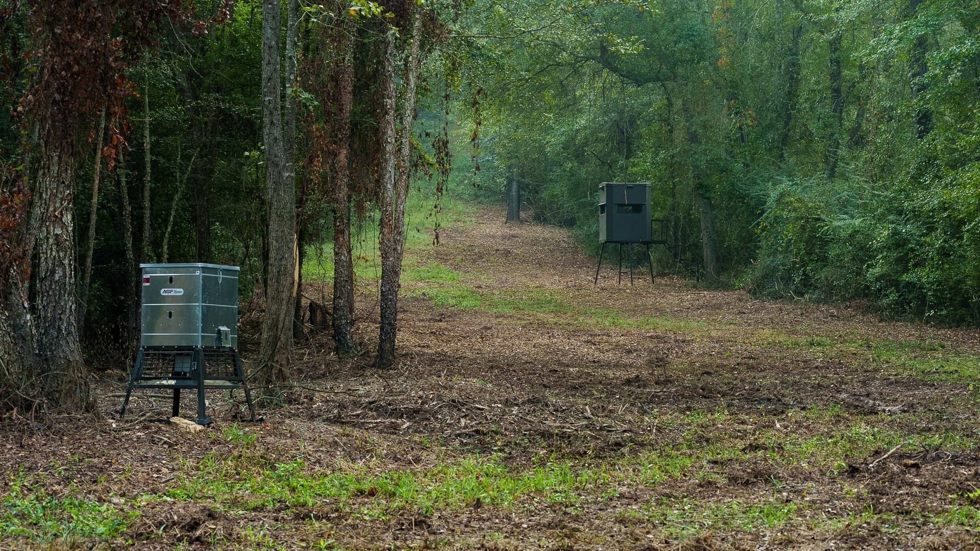 265 acres in Smith County