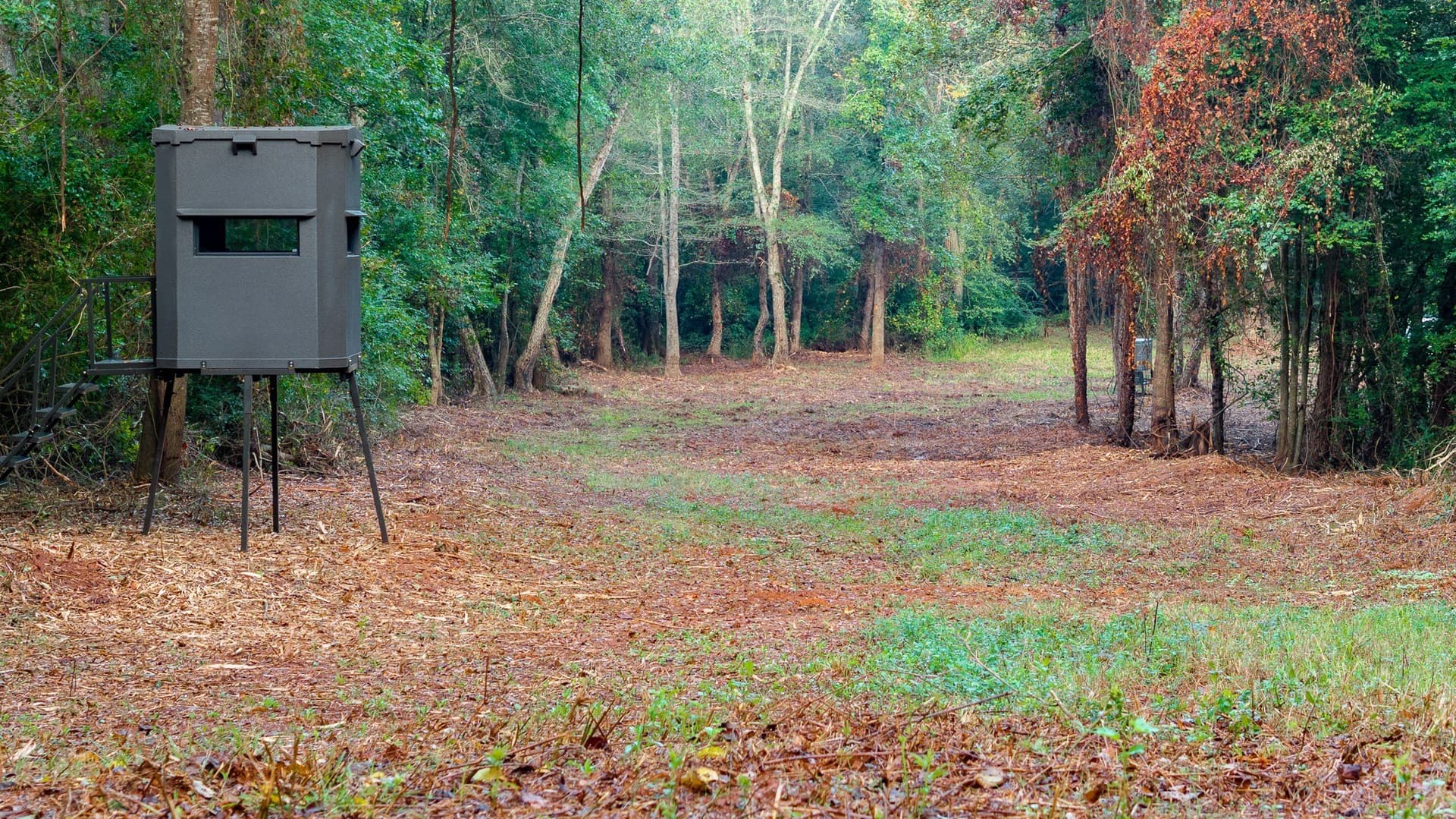 265 acres in Smith County featured view