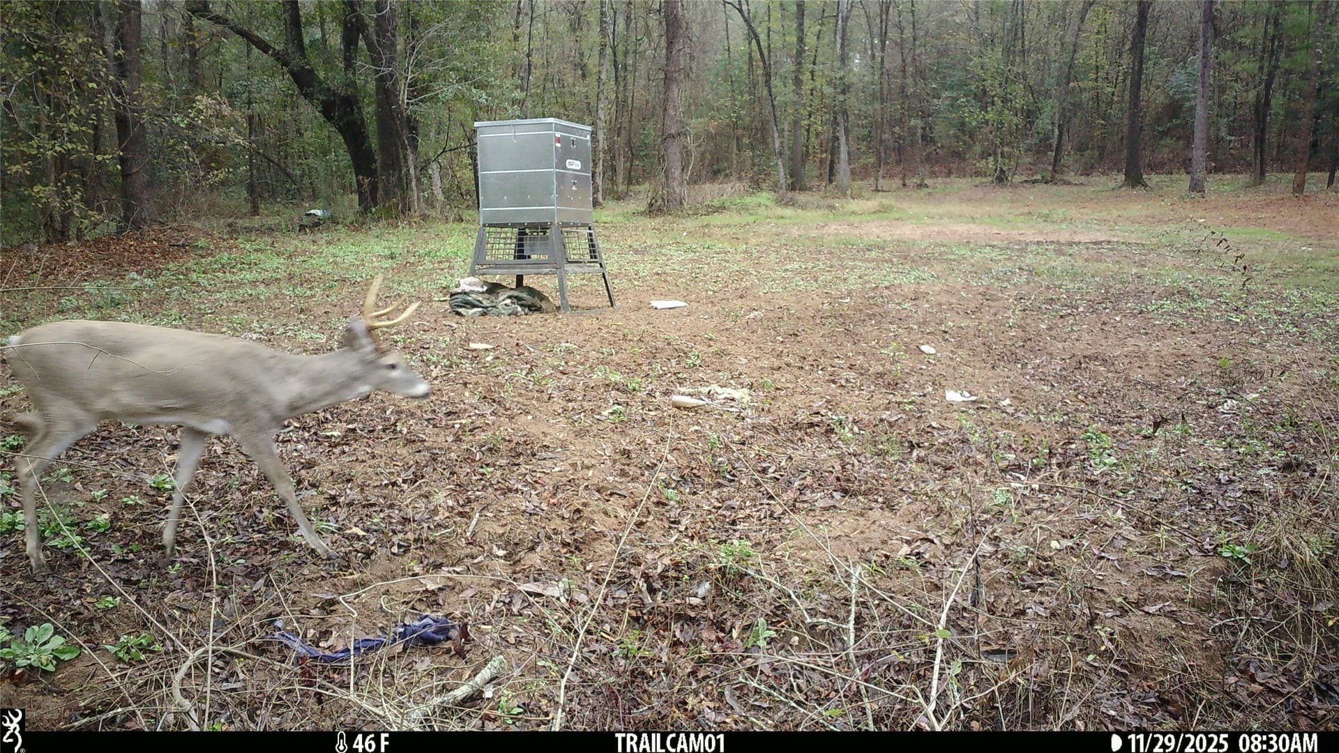 265 acres in Smith County gallery image 3