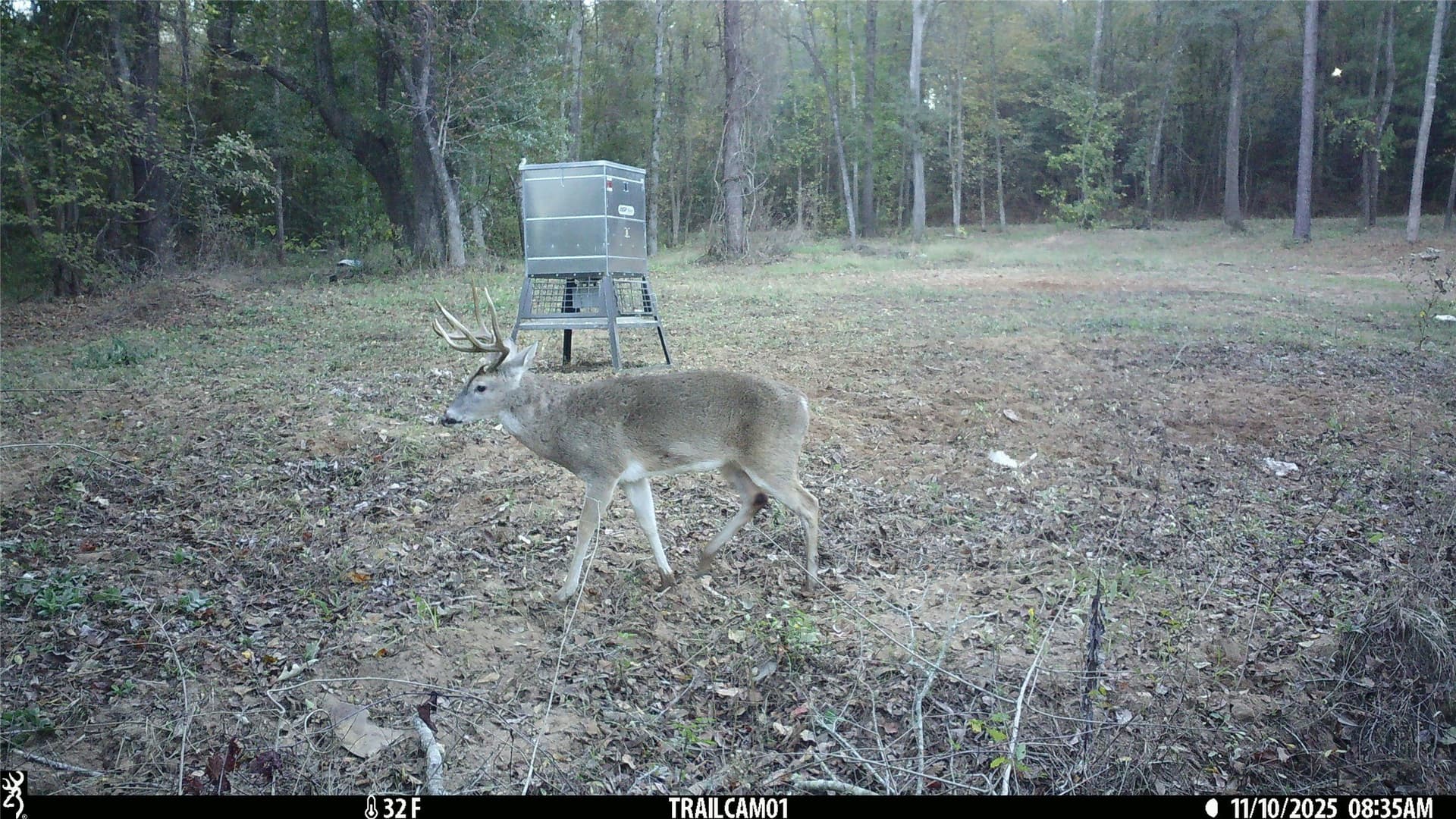 265 acres in Smith County gallery image 2