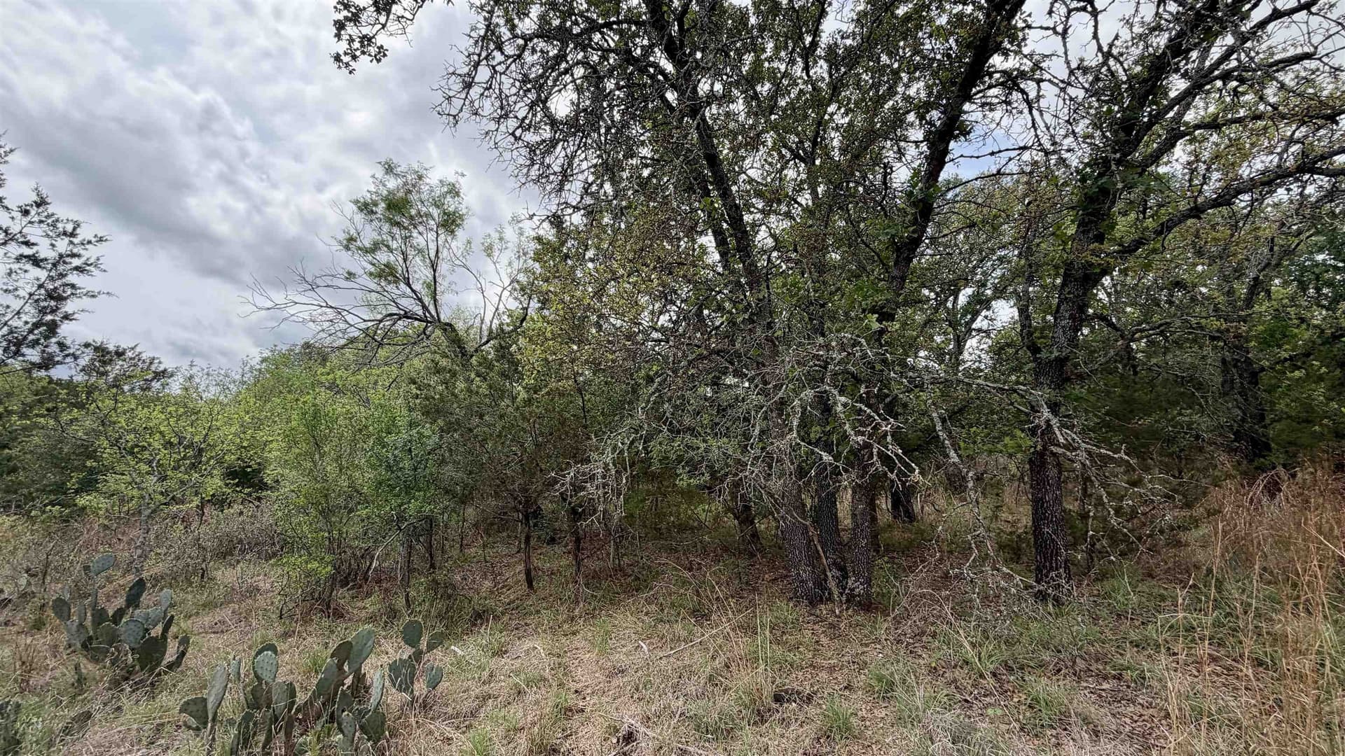 0.56 acres in Llano County featured view