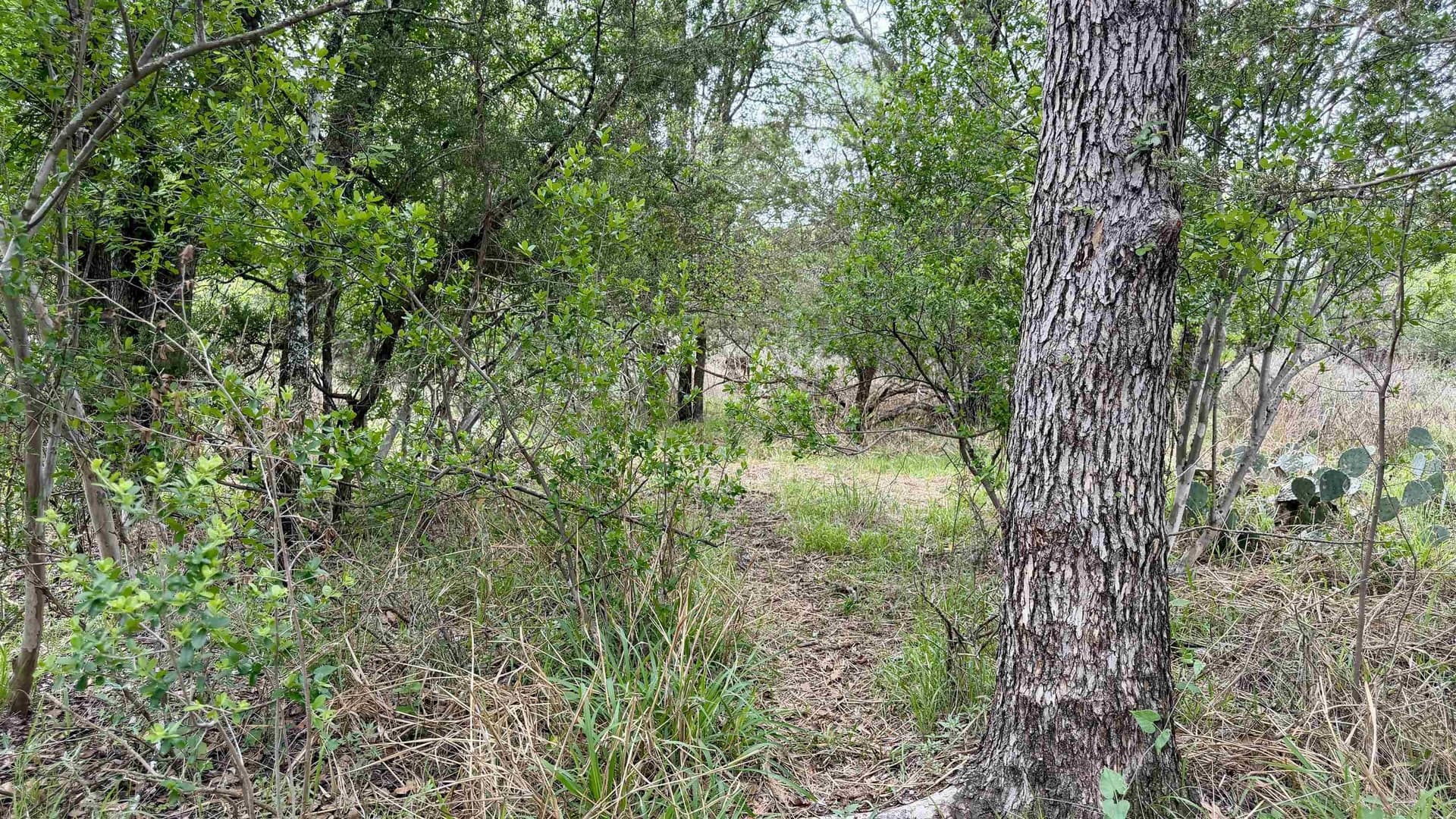 0.56 acres in Llano County - photo 8