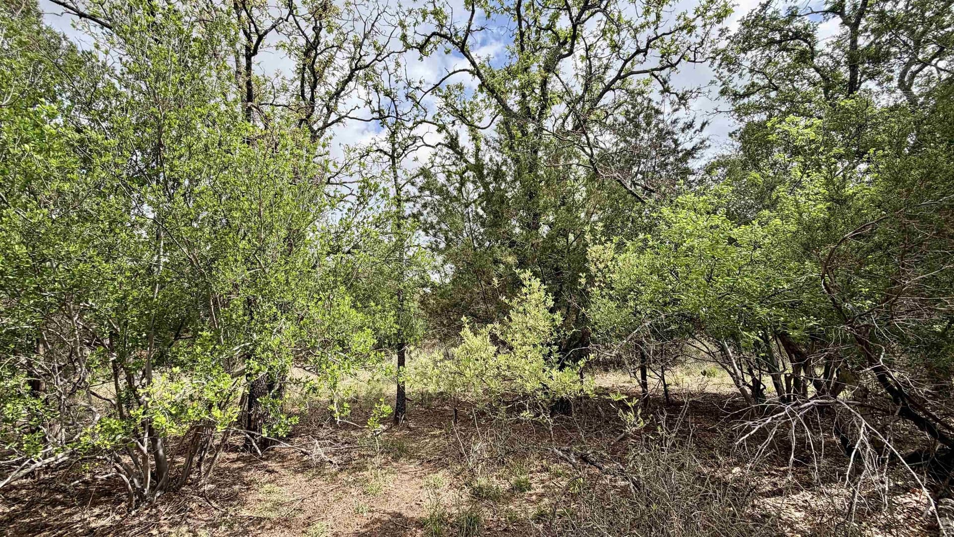 0.56 acres in Llano County - photo 20