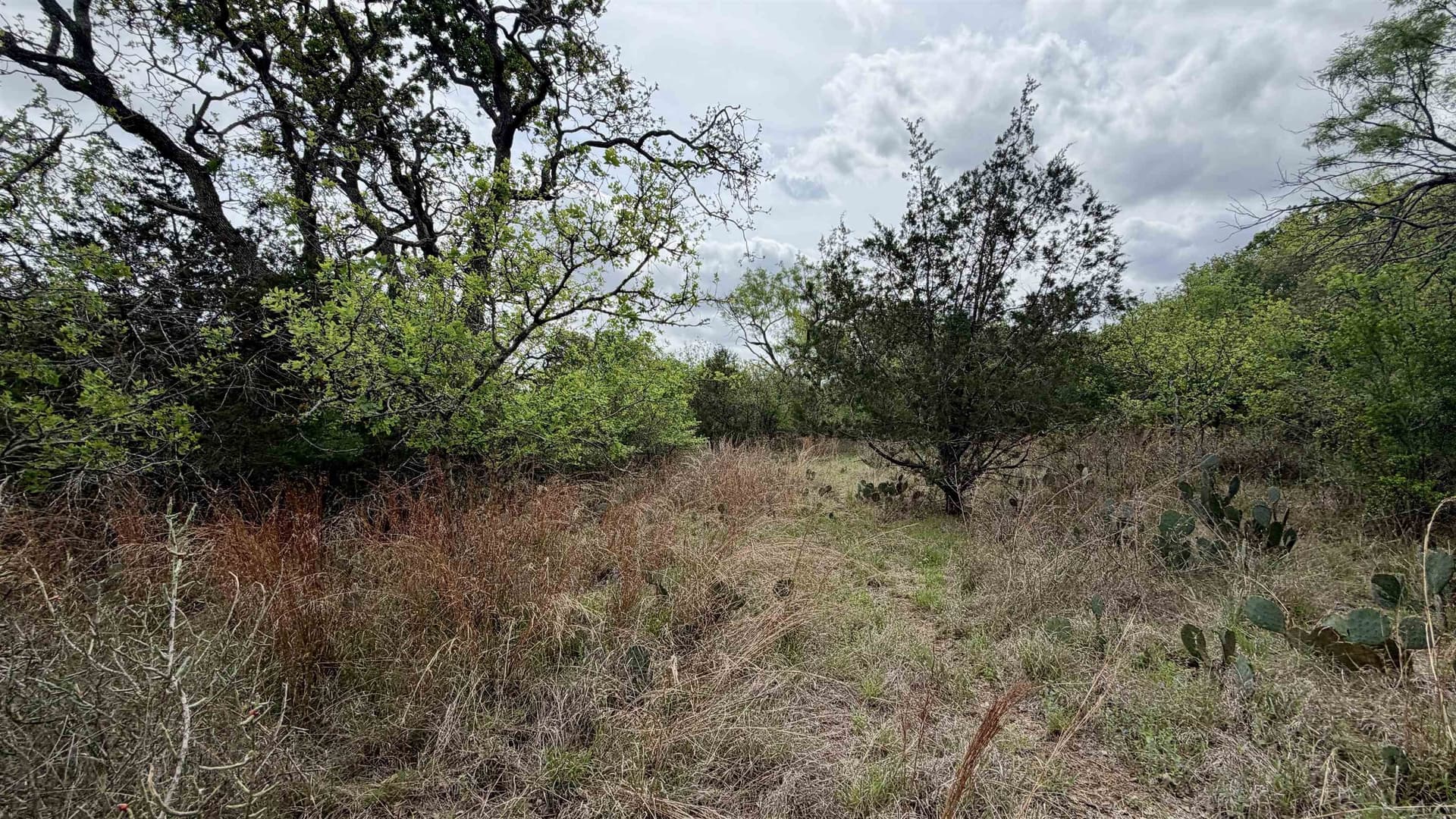 0.56 acres in Llano County gallery image 4