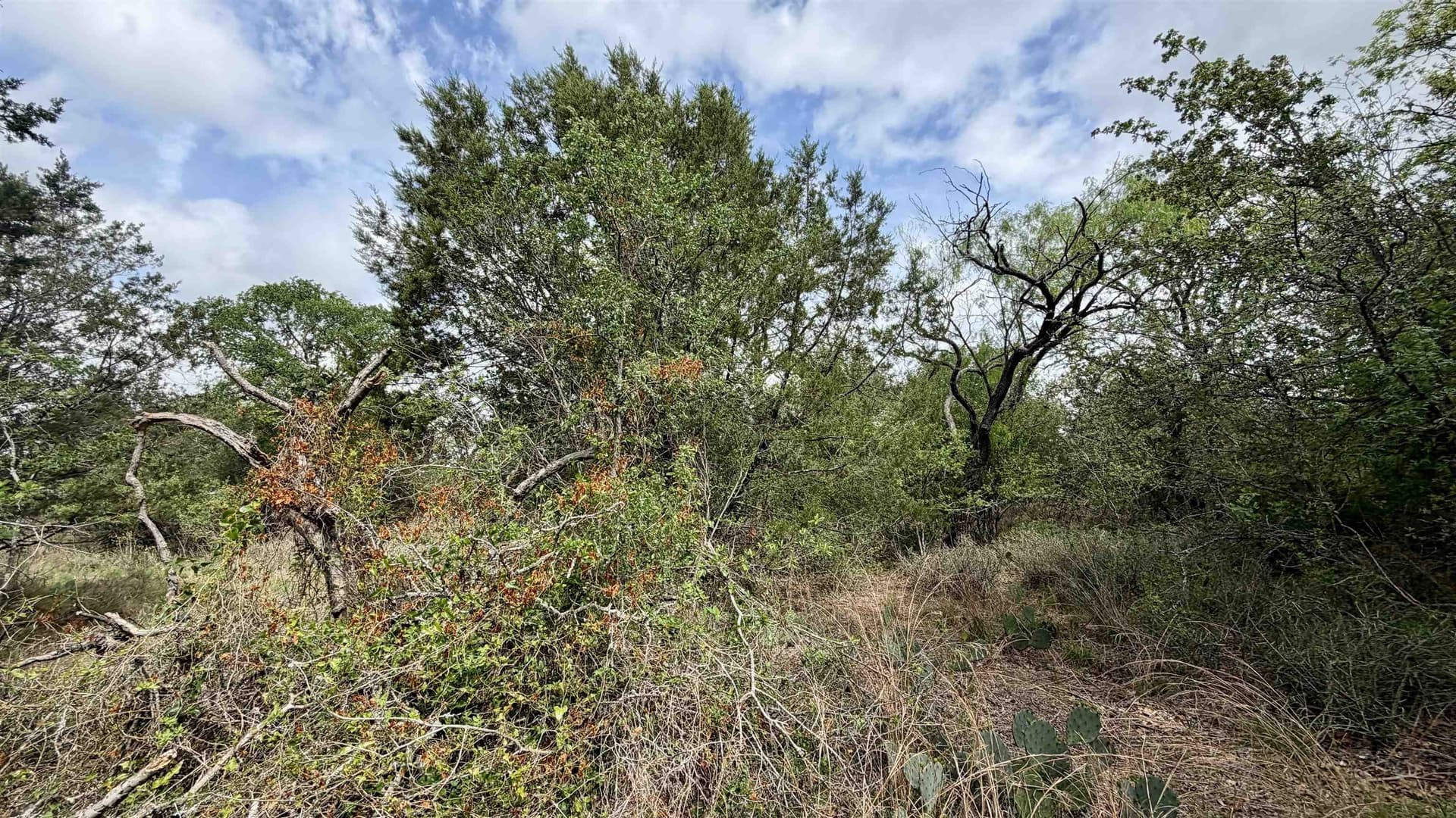0.56 acres in Llano County - photo 19