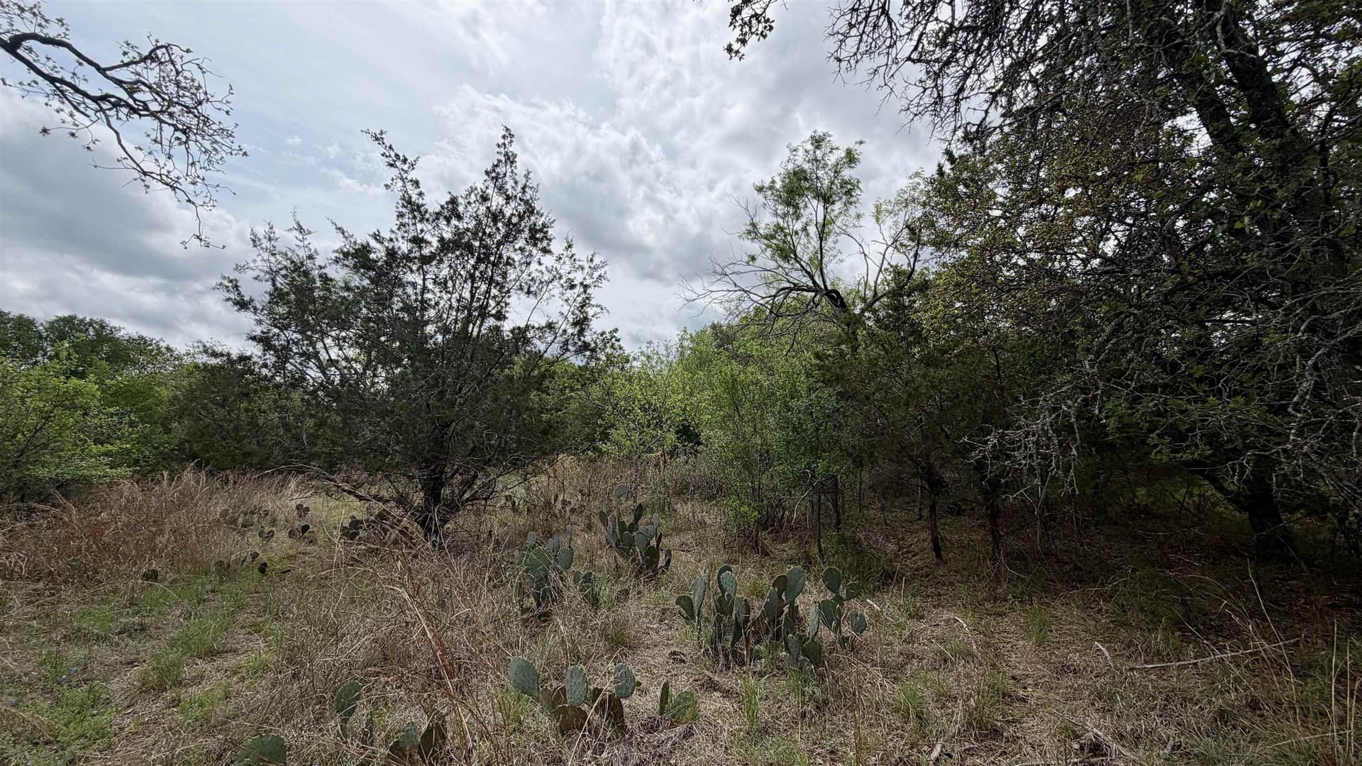 0.56 acres in Llano County - photo 6