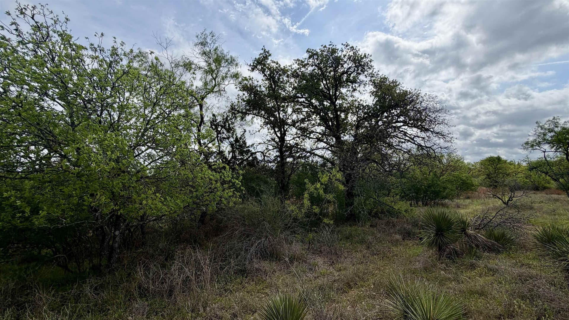 0.56 acres in Llano County - photo 22