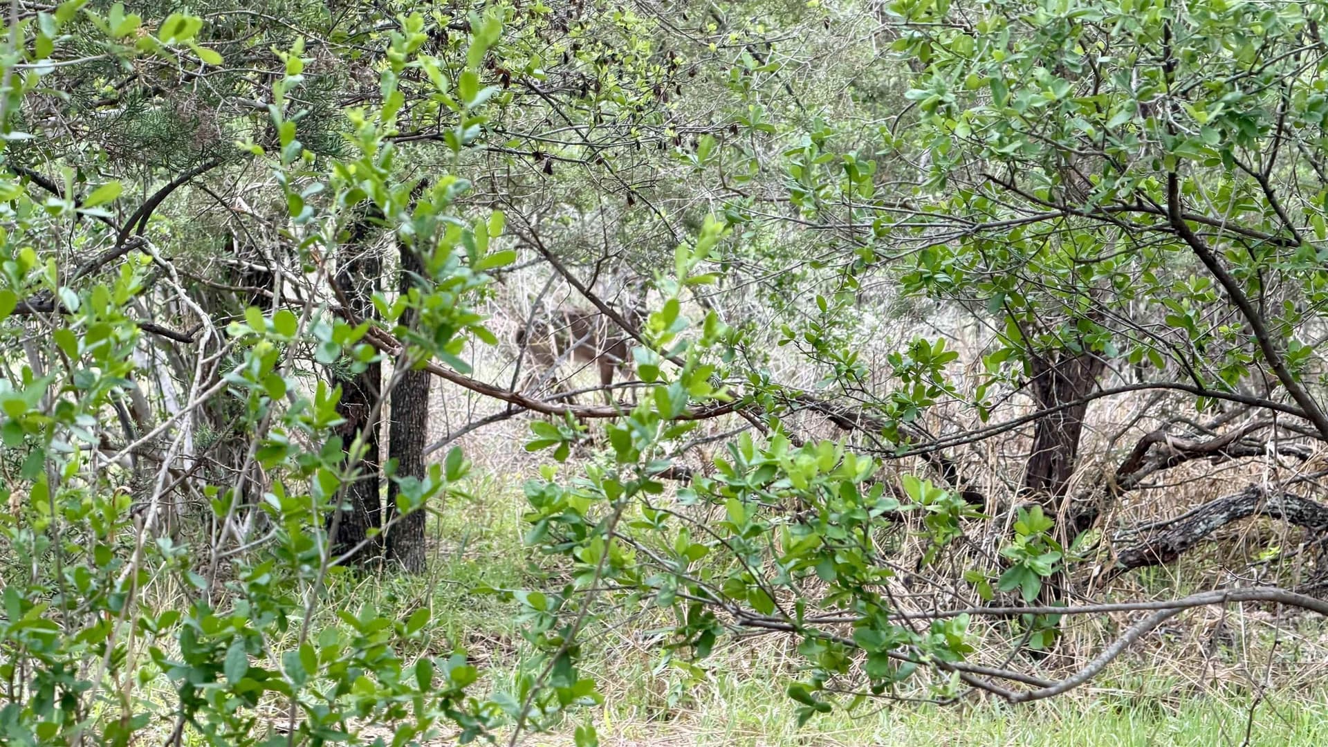 0.56 acres in Llano County - photo 9
